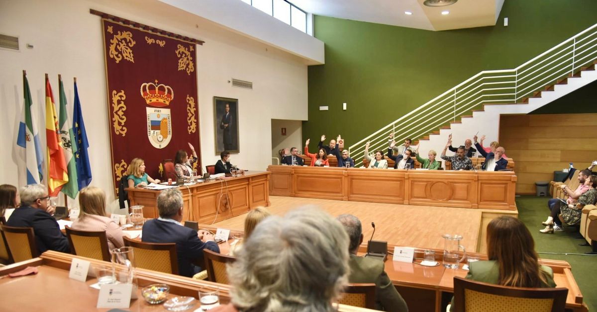 Torremolinos aprueba el presupuesto para 2022 con un montante de 114,96 ...