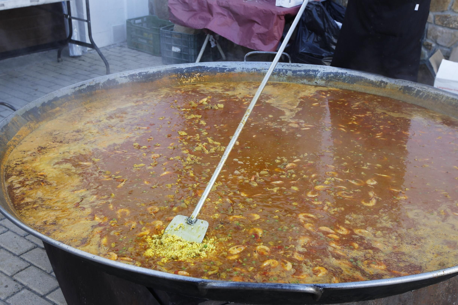 Las imágenes de las fiestas de San Antón en Padules