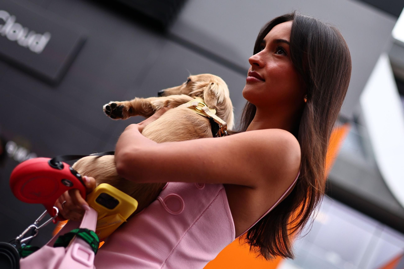 Formula One Hungarian (14134602).jpg