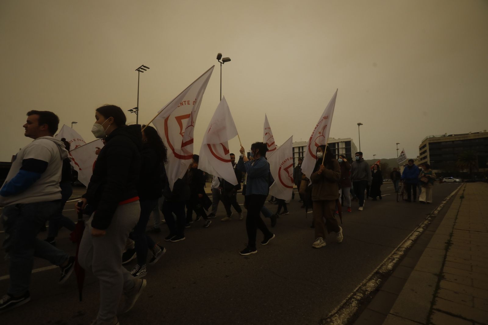 La manifestación estudiantil contra la reforma educativa, en imágenes