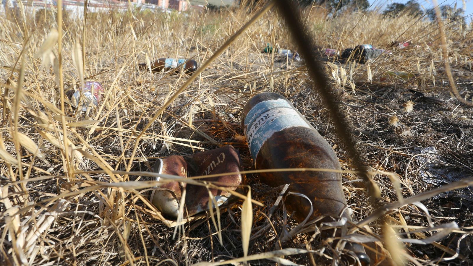 Residuos calcinados entre la maleza después de los incendios.