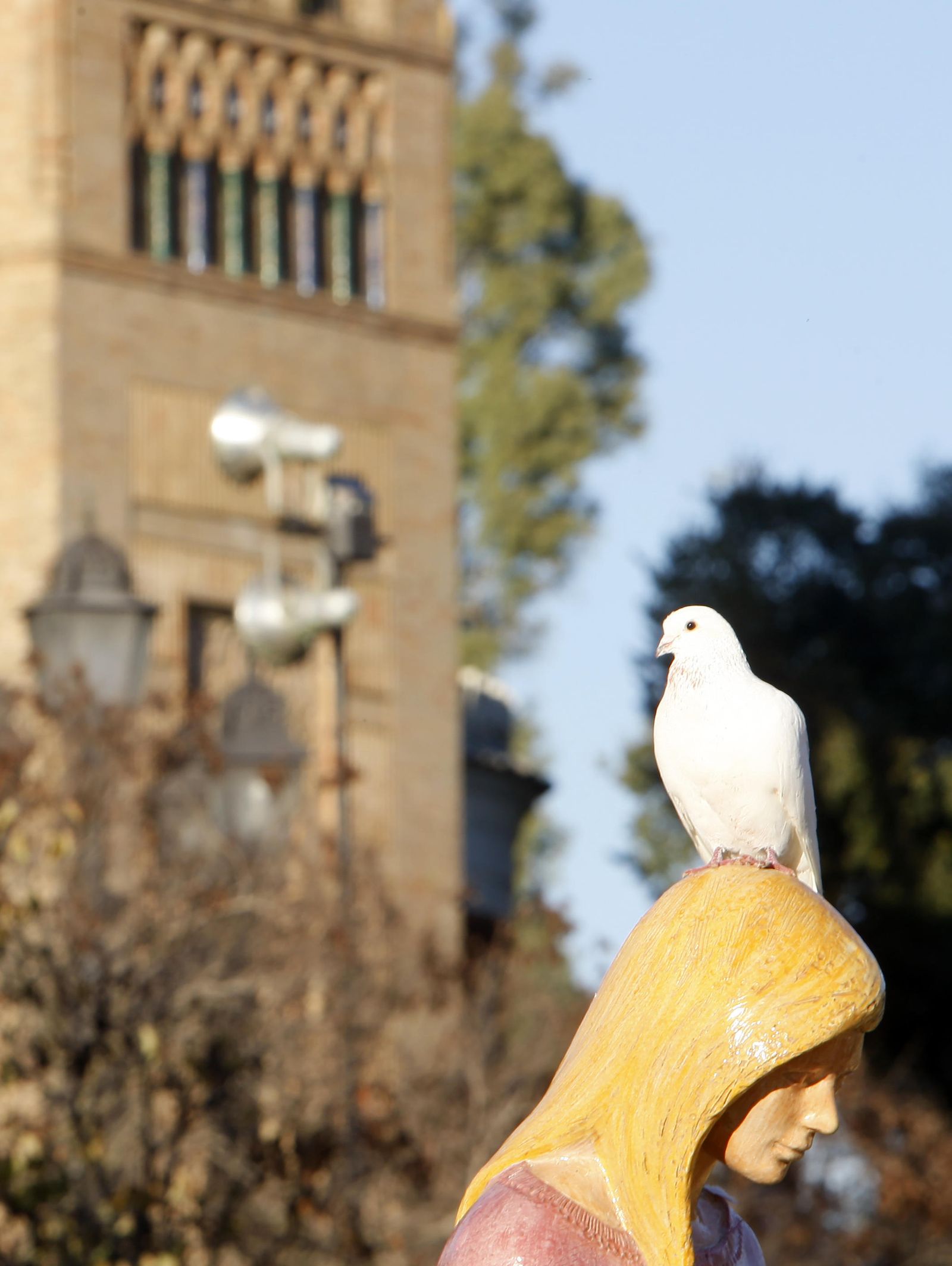 La fuente de Emilio García Gómez.
