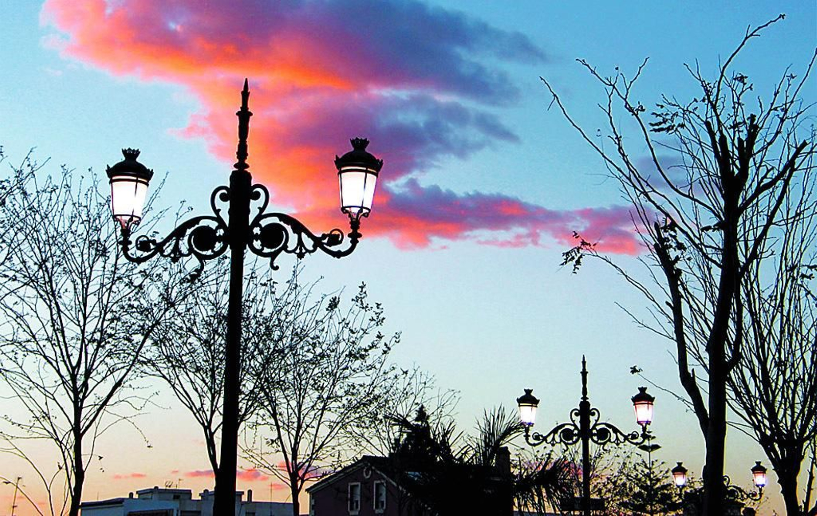 Farolas en una avenida de Los Barrios.