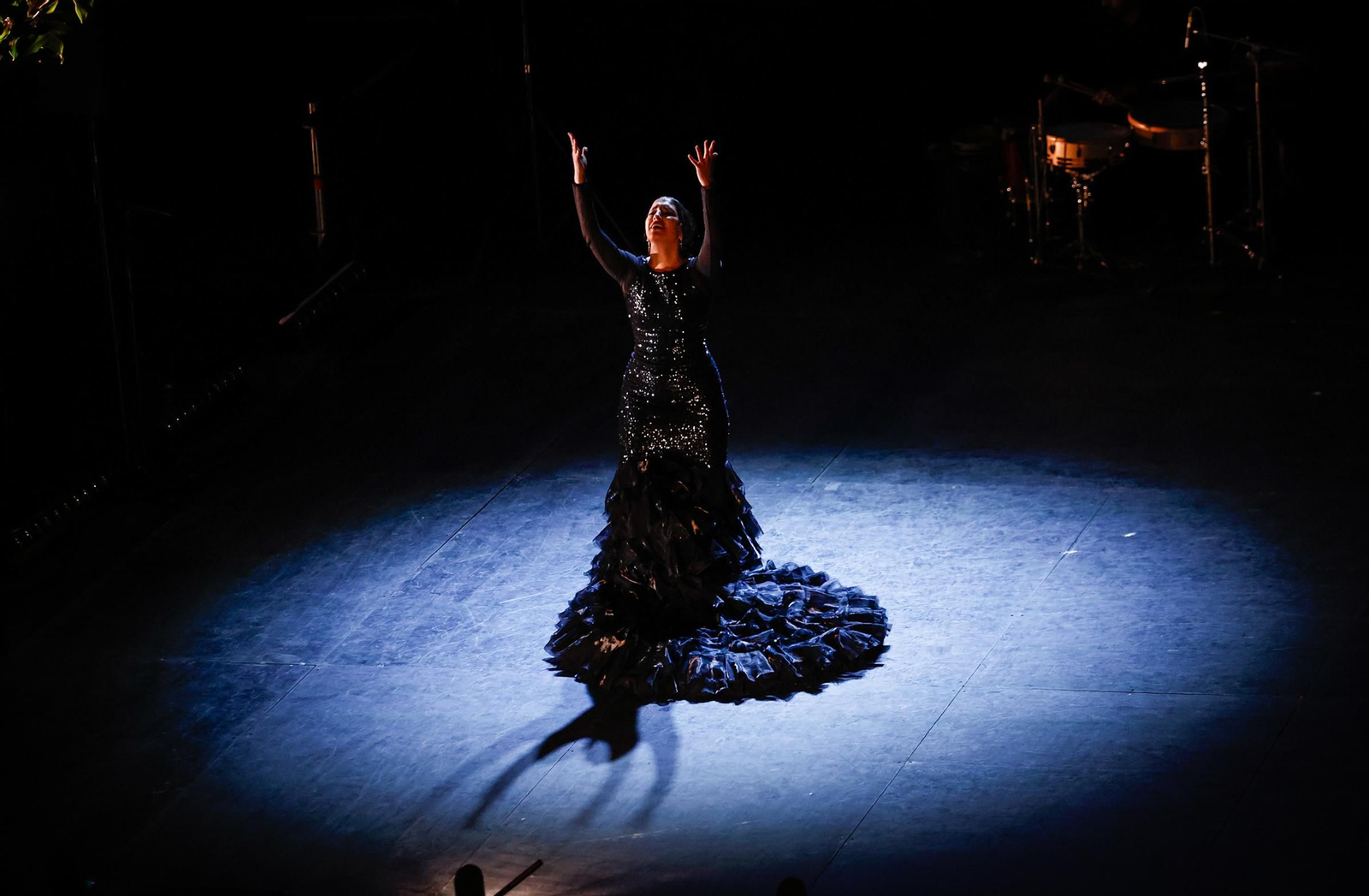 Todas las imágenes del Ballet Flamenco de Andalucía en la Bienal