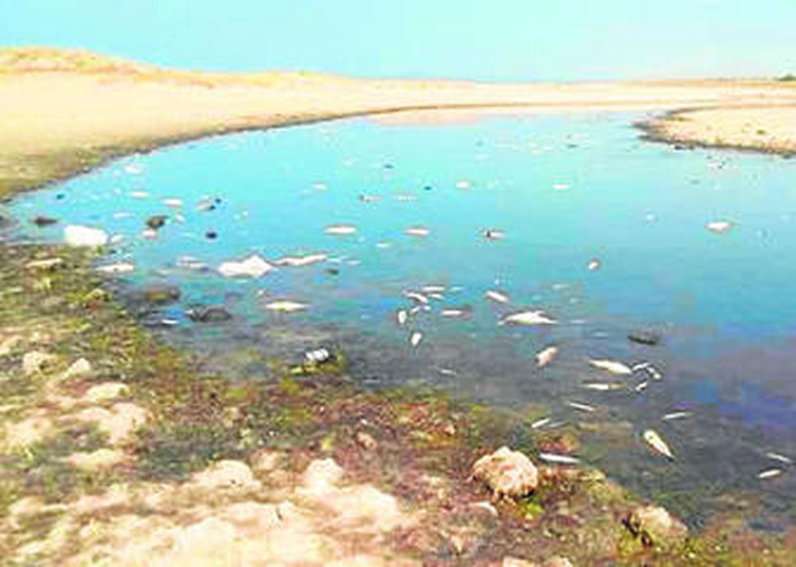 Estado que presentaba ayer, a primera hora de la mañana, el rio Cachón.