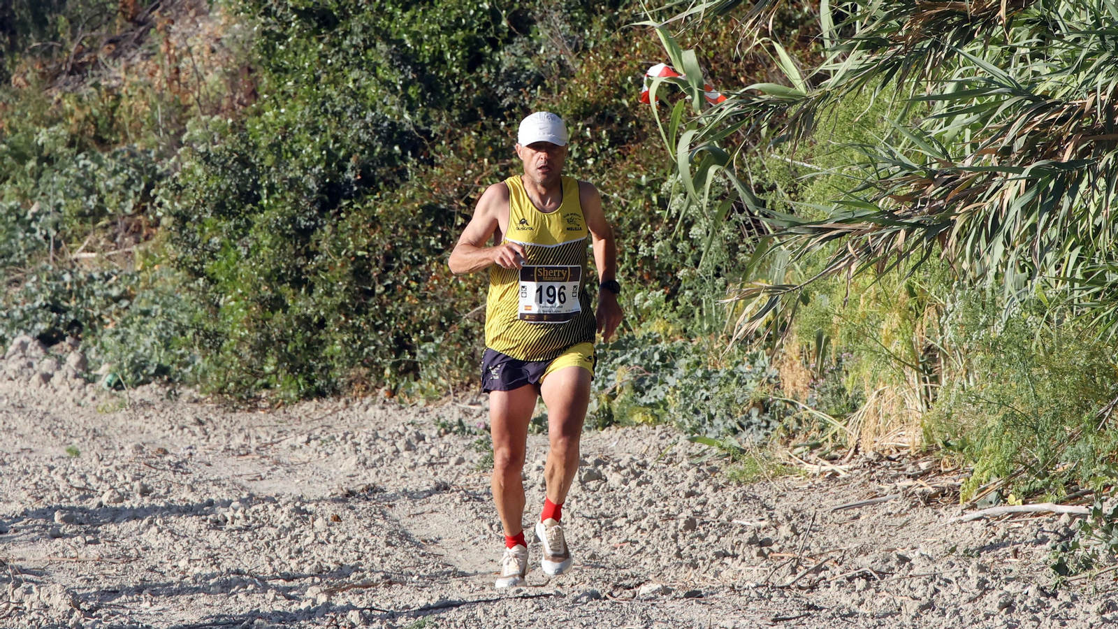 VI Sherry Maratón Jerez