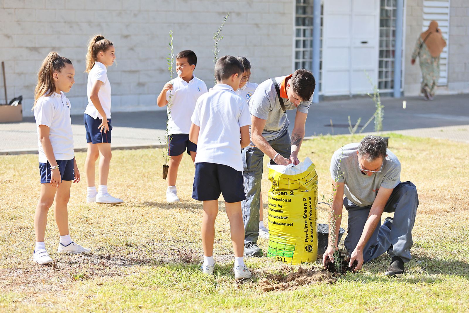 Los alumnos del colegio Virgen del Rocío realizan una plantación de arboles en el Hospital Juan Ramón Jiménez