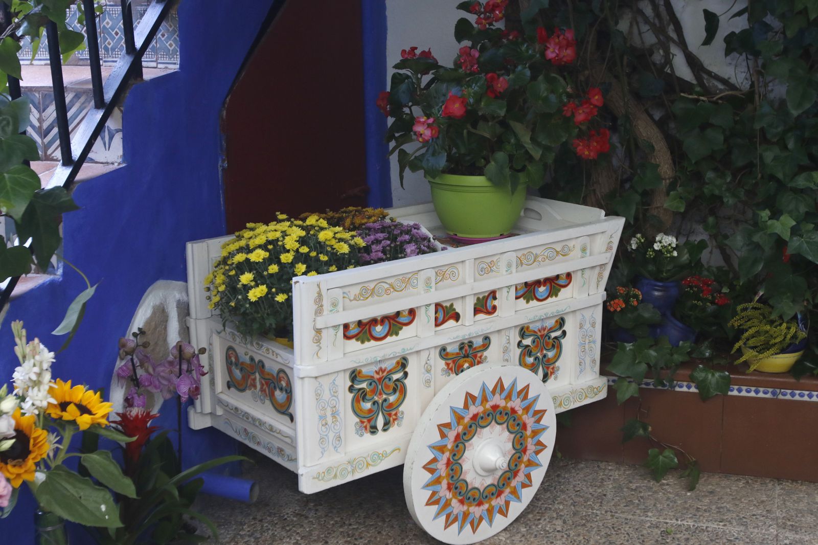 Las fotografías de los Patios de Córdoba en otoño