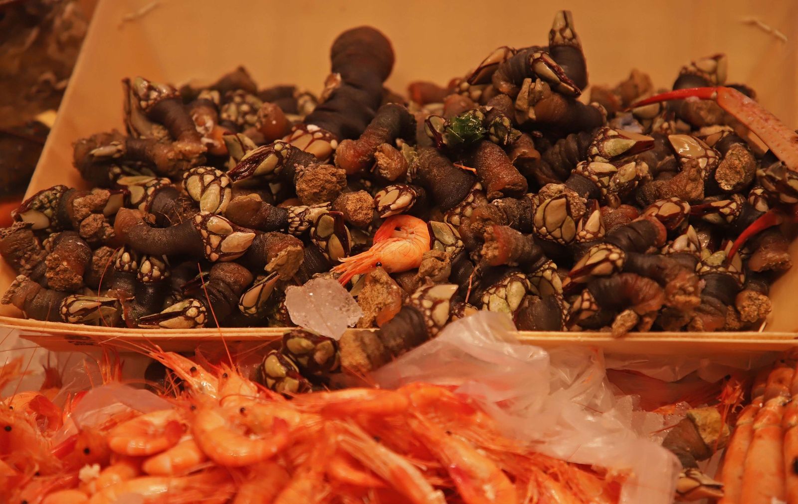 Fotos de las últimas compras para la cena de Nochebuena en Algeciras