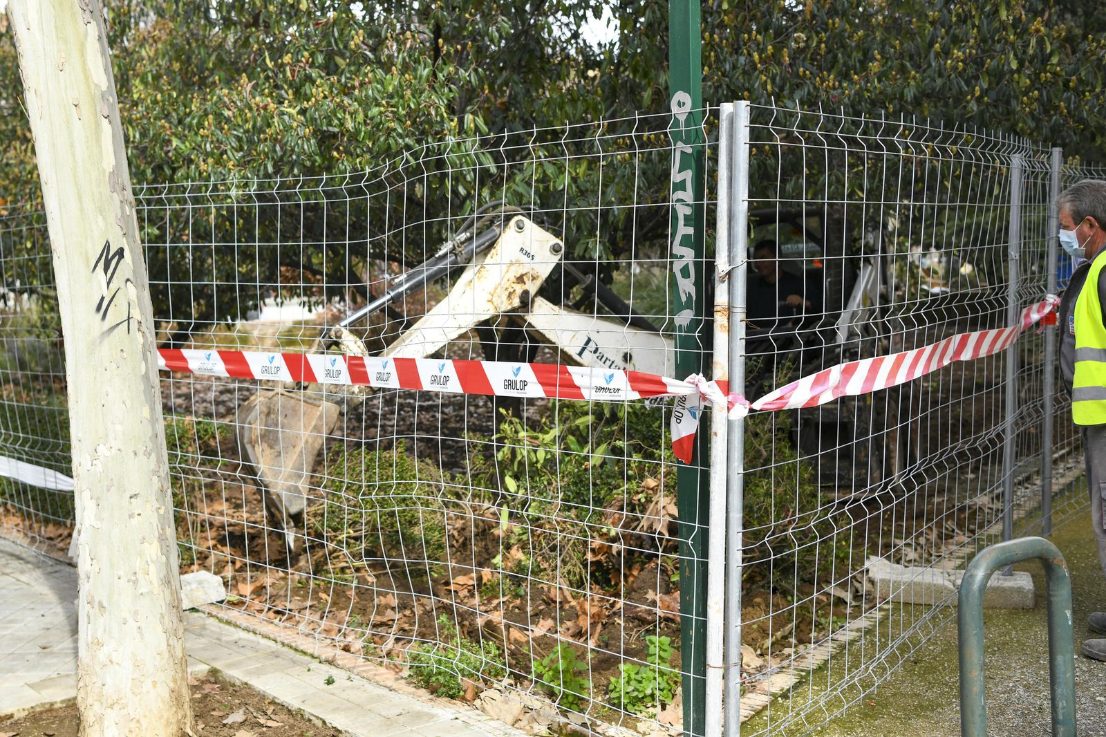 Fotos: así ha quedado la Plaza Escultor López Burgos tras otra poda en Granada