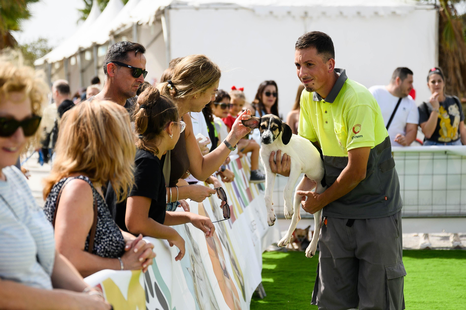 La Feria permitirá conocer a los perros que aguardan a una familia en el Zoosanitario