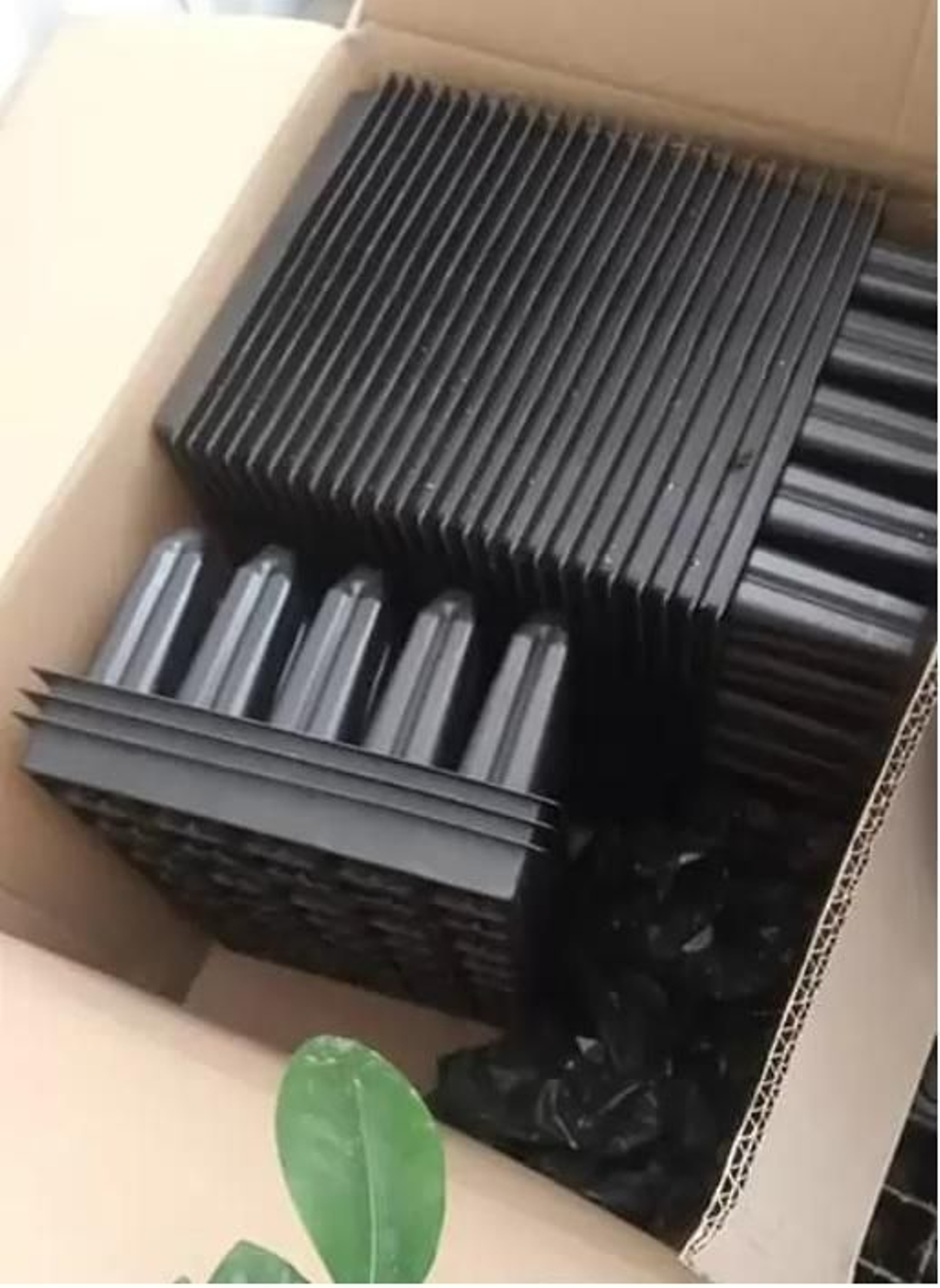 Acopio de bandejas para siembra.