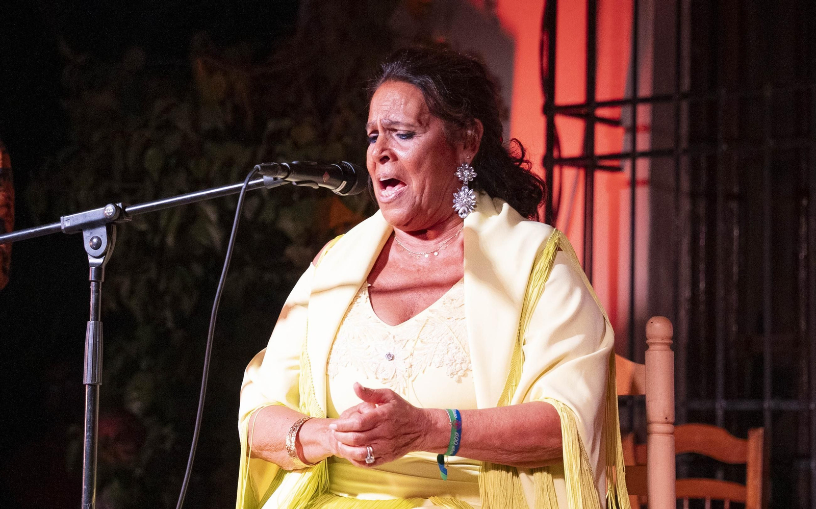 Las mejores imágenes del Festival de Flamenco en Fondón