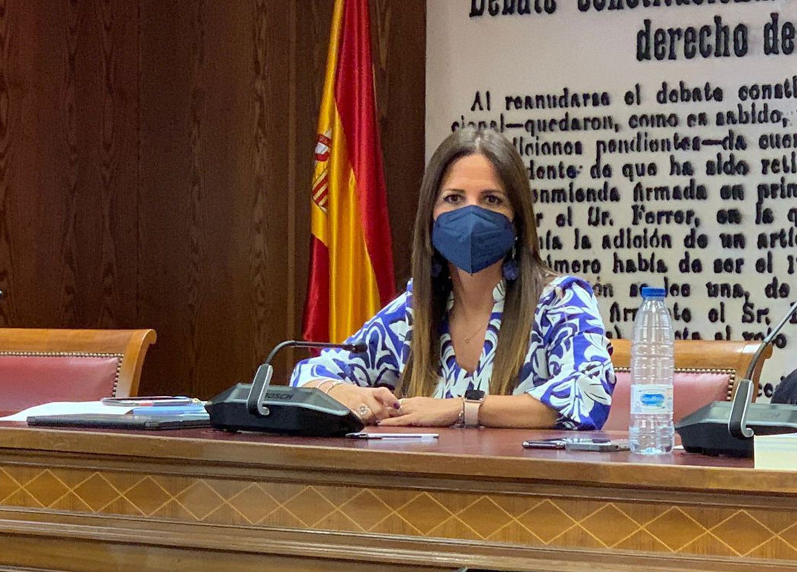 Inés Plaza, vicepresidenta primera de la Comisión de Ciencia, Innovación y Universidades del Senado.