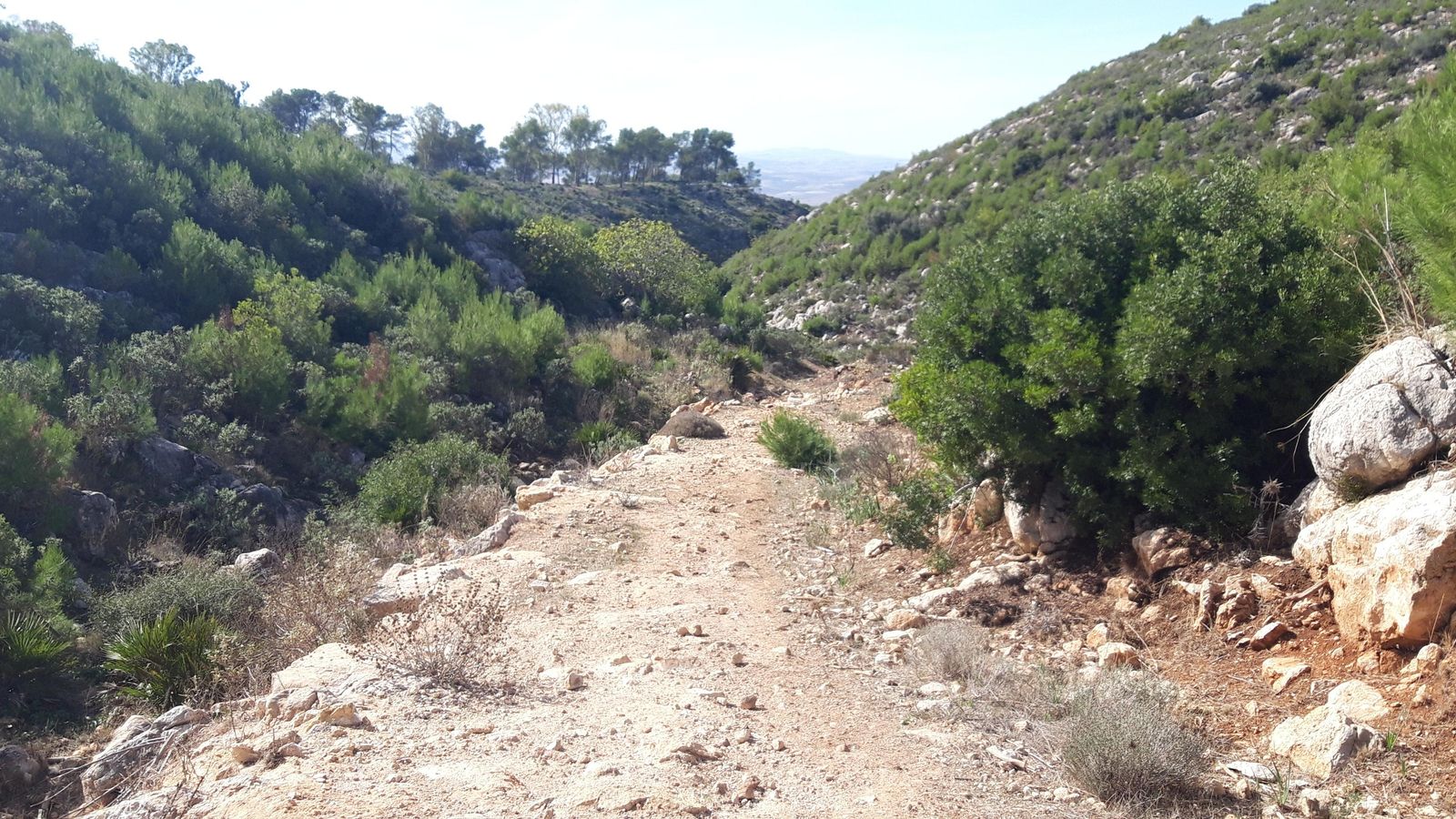 Las fotos de la ruta del castillo de Cote, en Montellano
