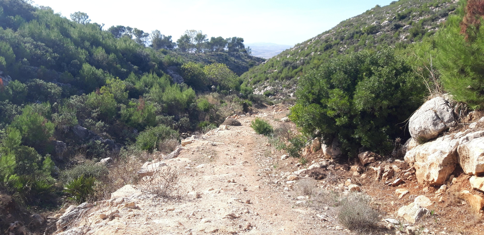 Las fotos de la ruta del castillo de Cote, en Montellano