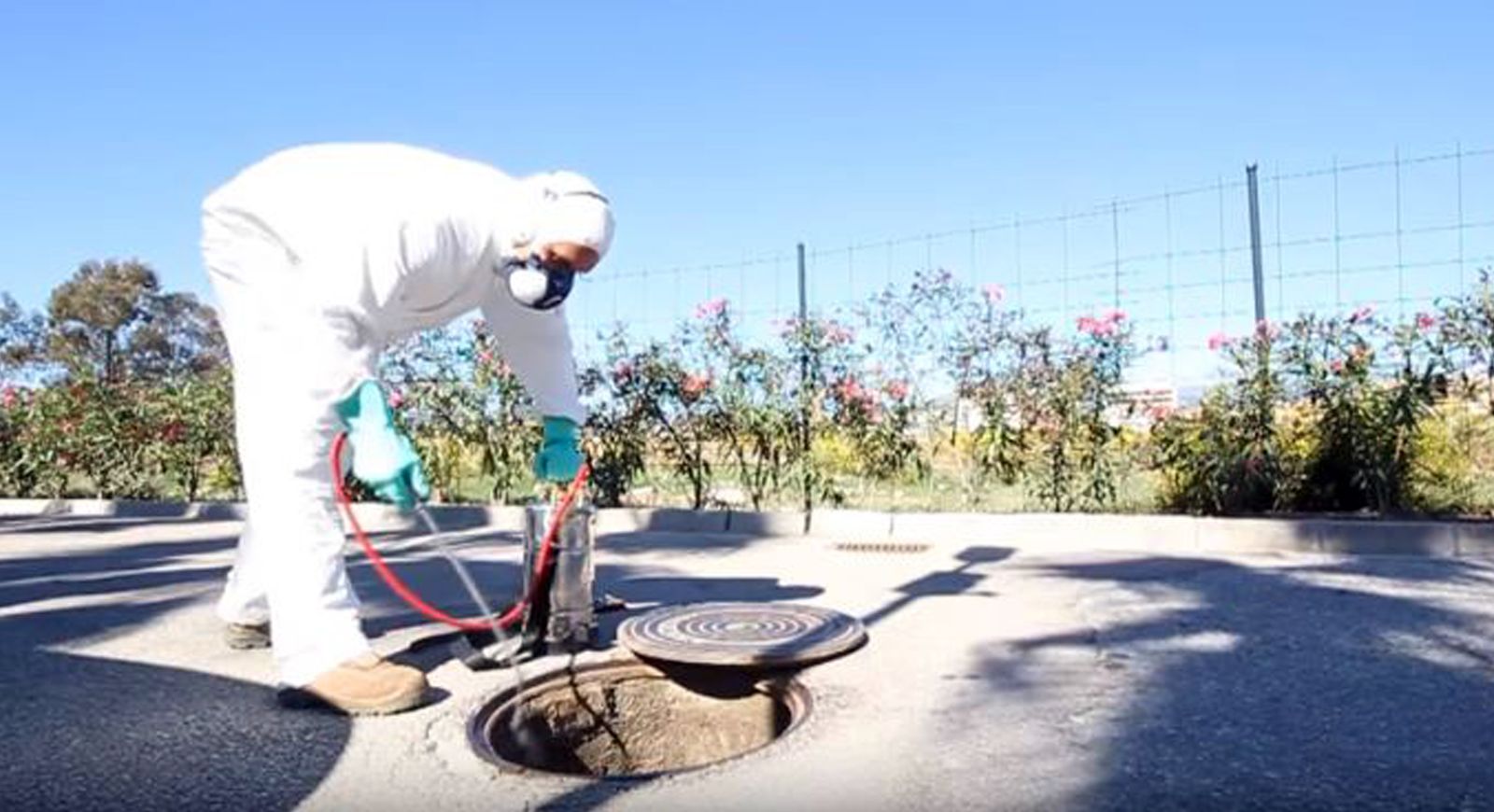 Empleado de la empresa Coplaga durante los trabajos de desinsectación