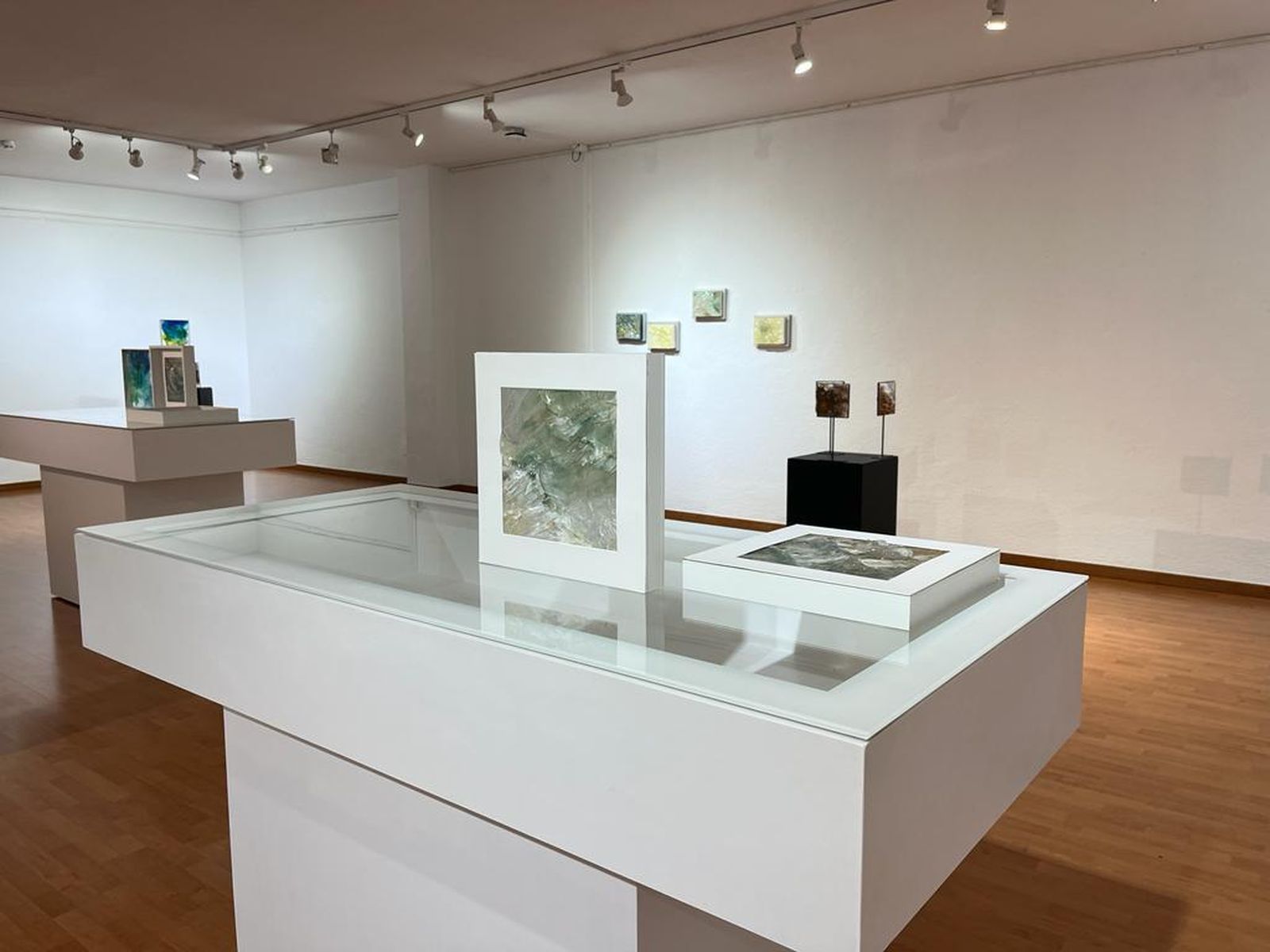 Así es 'Cantos del mar', la exposición con la que Ana Esther Maqueda está sorprendiendo a Jaén