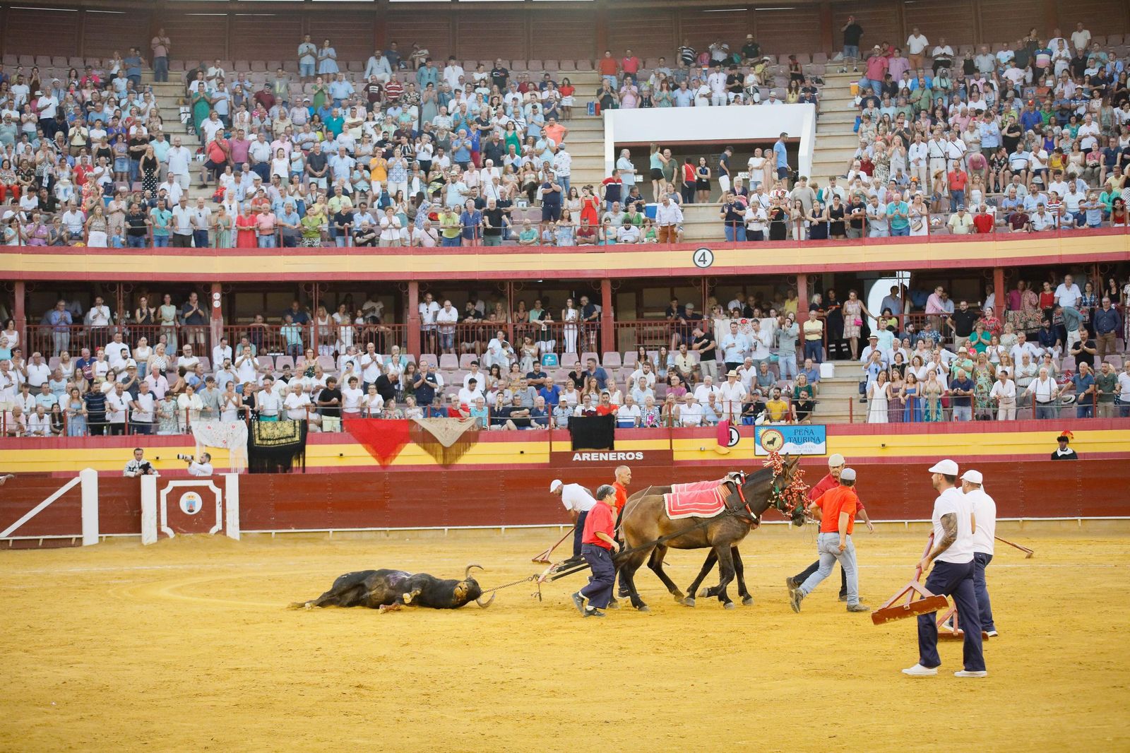 Corrida de toros en Roquetas, en imágenes