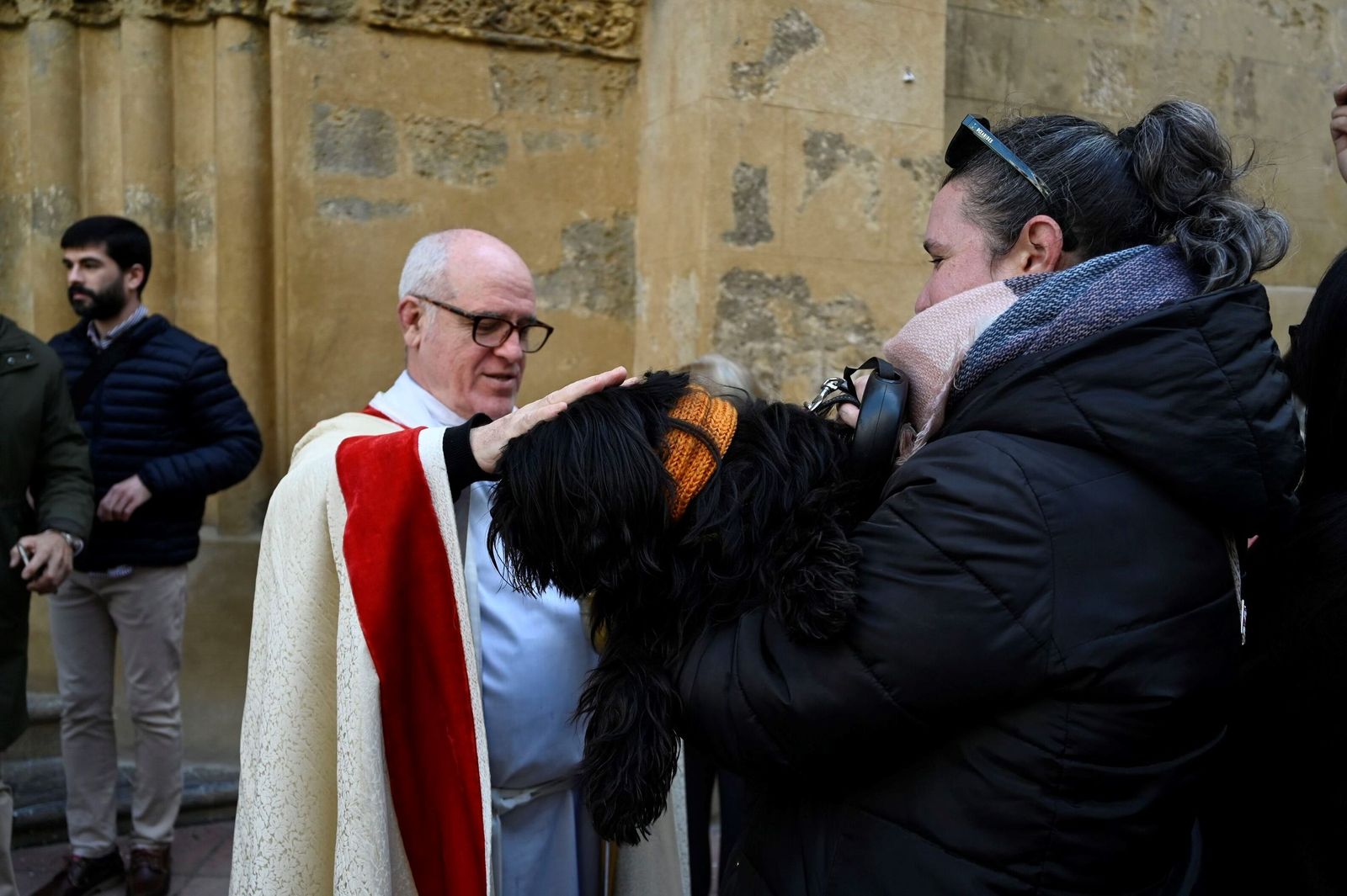 La bendición de animales por San Antón en Córdoba
