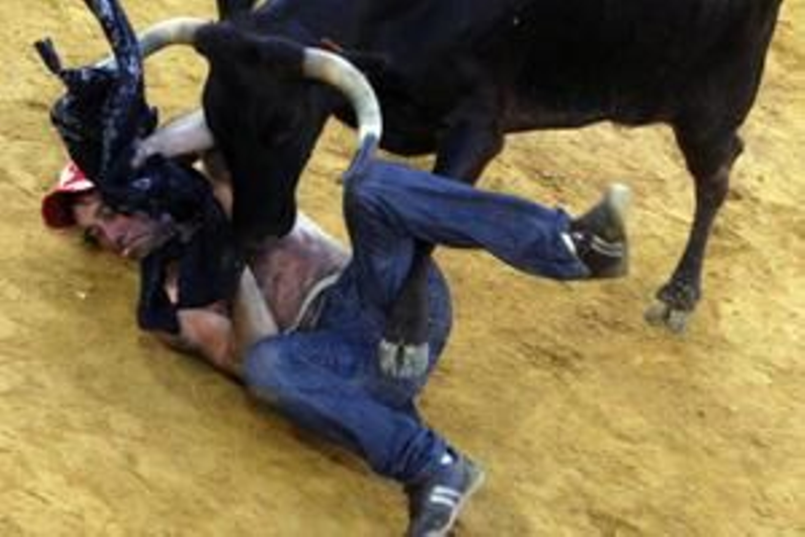 Con la suelta del llamado Toro del Aguardiente se pone el broche de oro a la feria de la localidad. No hubo que lamentar graves incidentes./Fotos:Paco Guerrero

Foto: Paco Guerrero