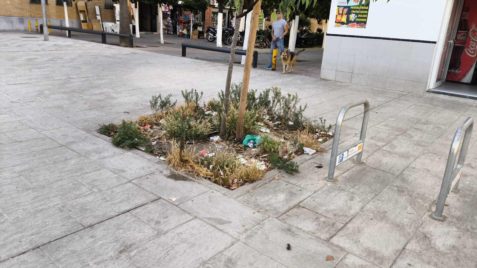 Alcorque lleno de arbustos y suciedad.