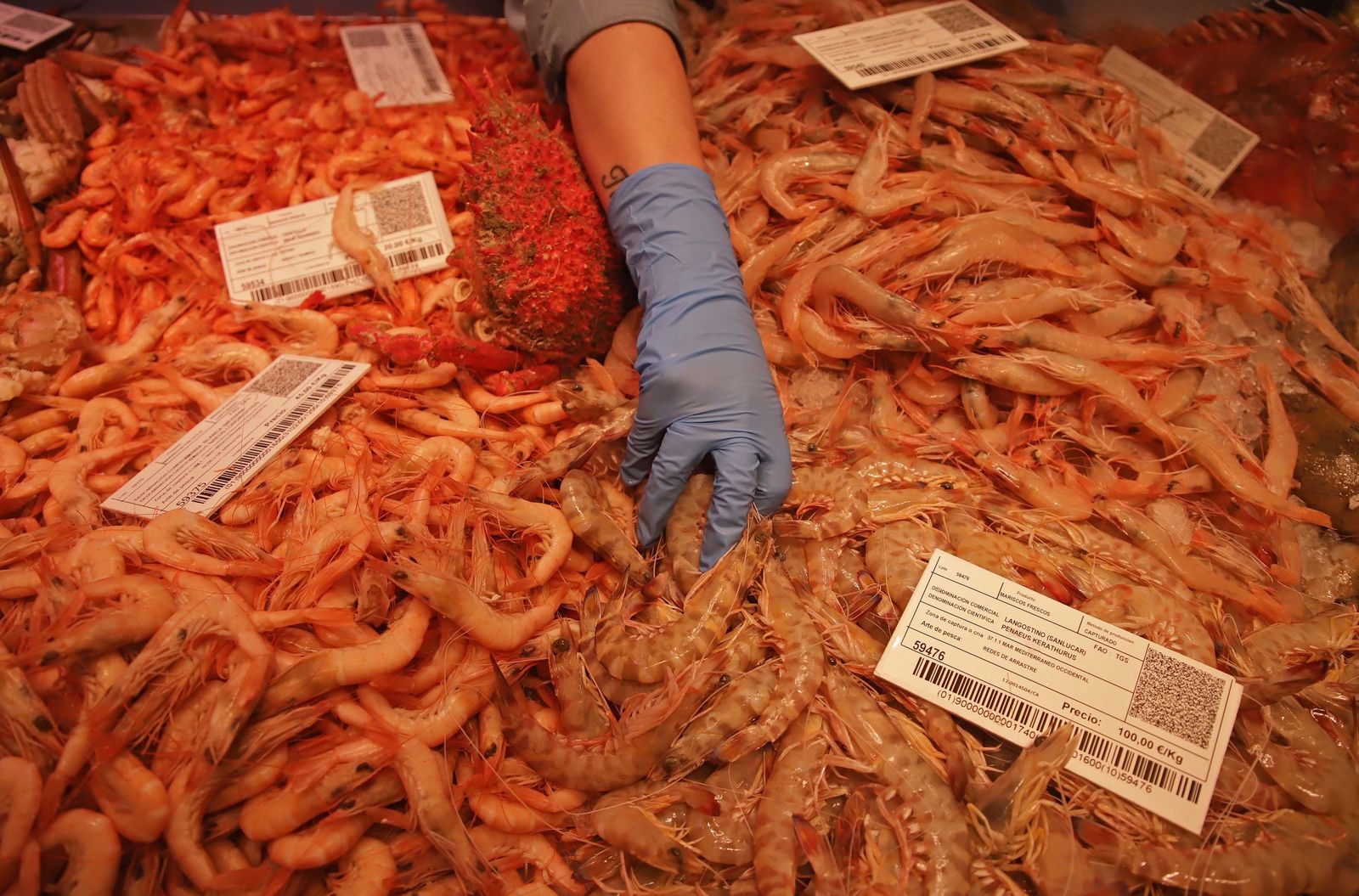 Fotos de las últimas compras para la cena de Nochebuena en Algeciras