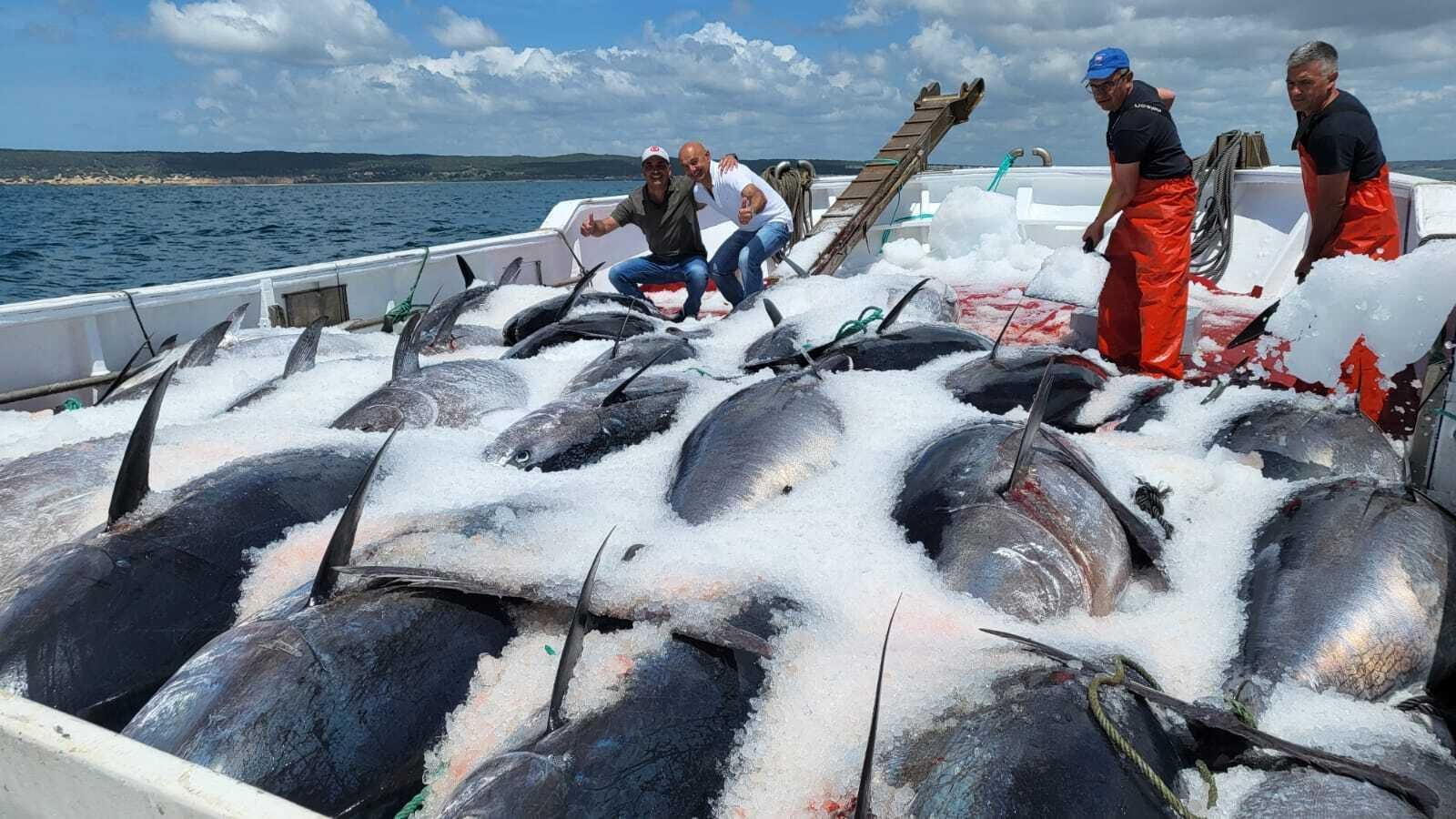 Paco Ruiz y Pedro Muñoz posan con los primeros atunes capturados en Barbate.