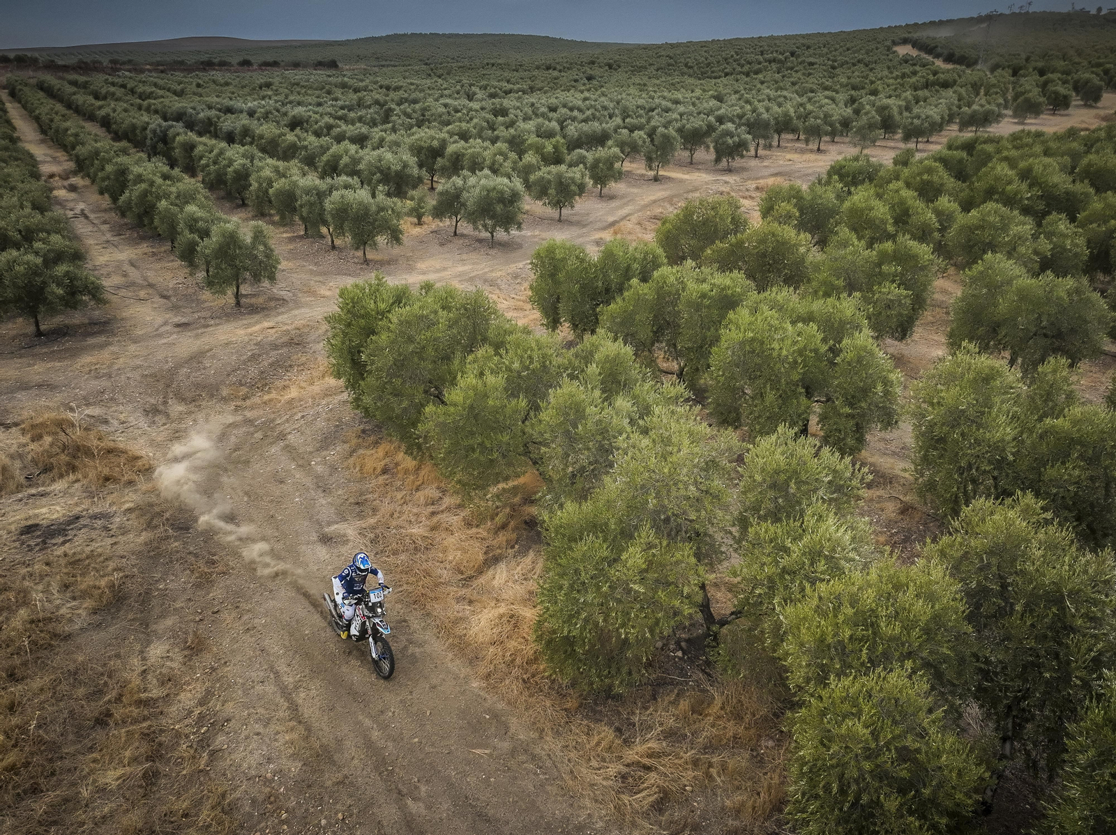 Andalucía Rally: las imágenes del 'Dakar' de Dos Hermanas | Día 2