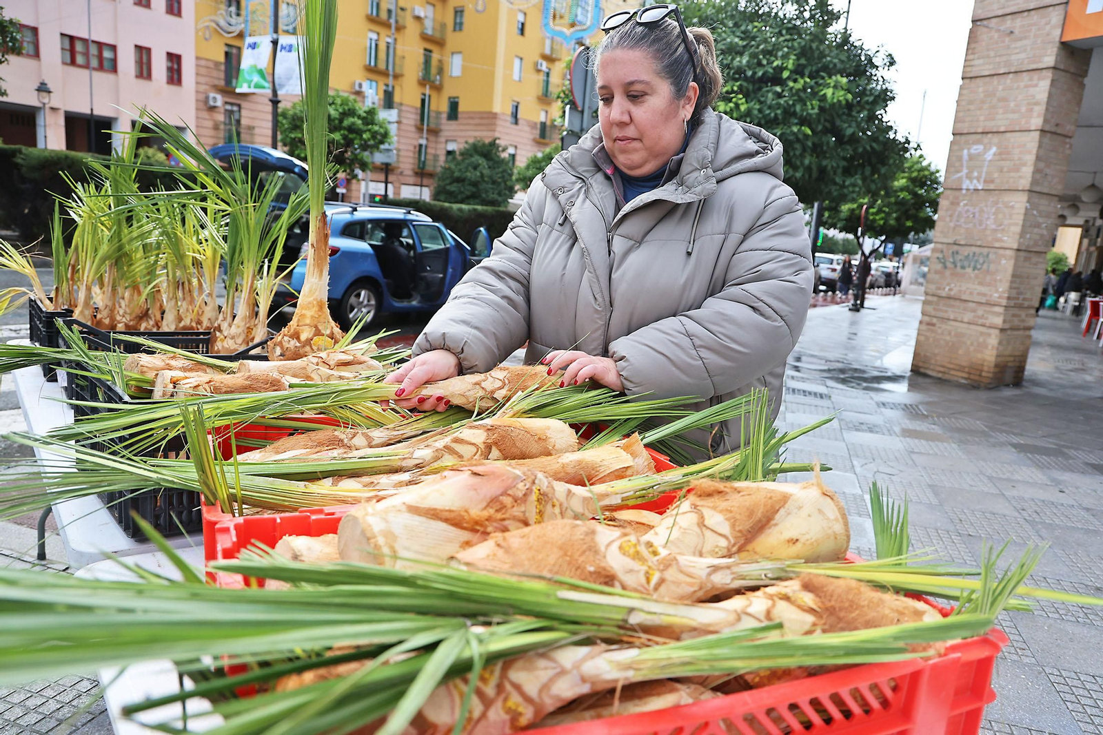Palmitos en Huelva por San Sebastián
