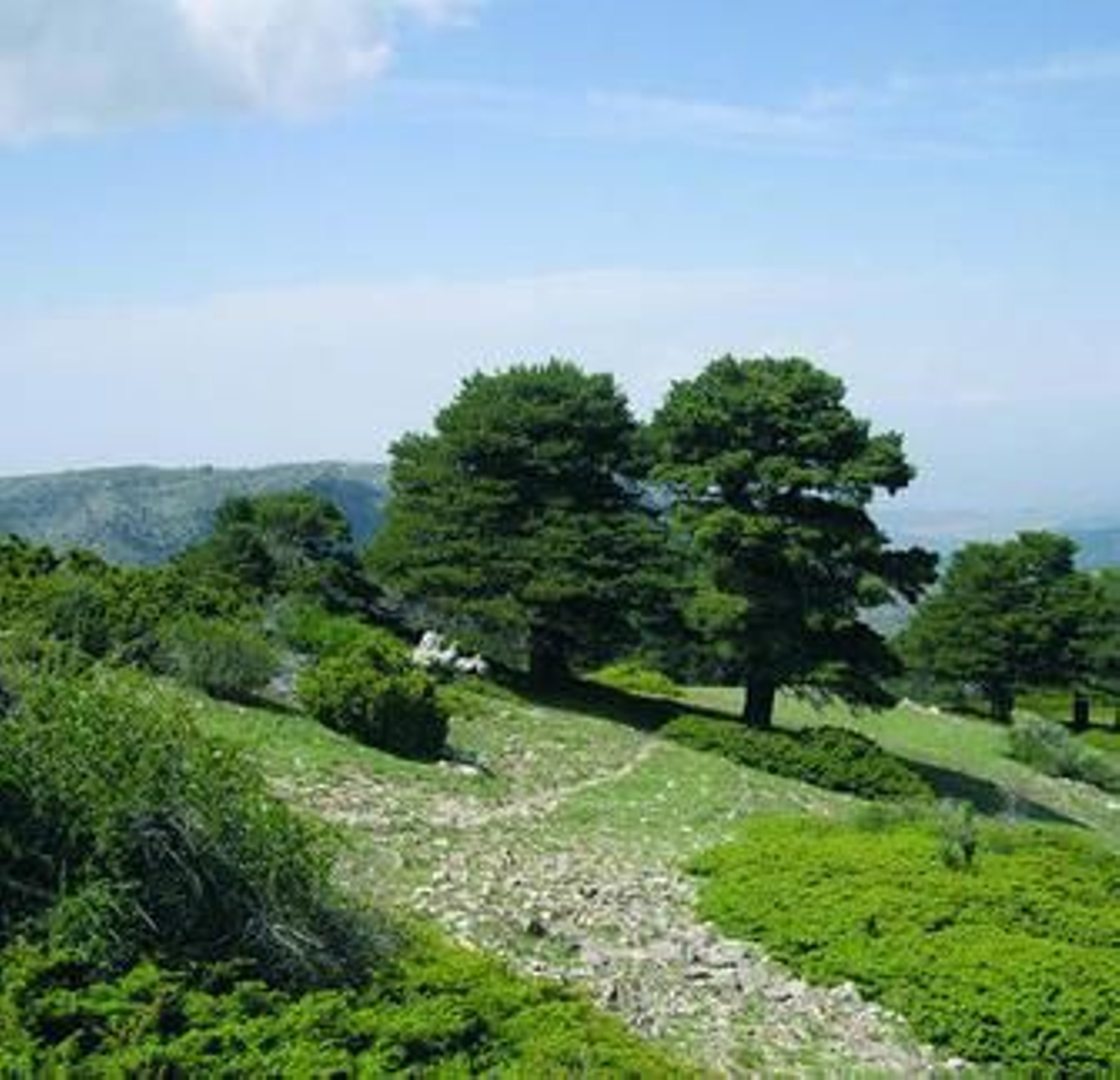 Imagen de la Sierra de Baza.