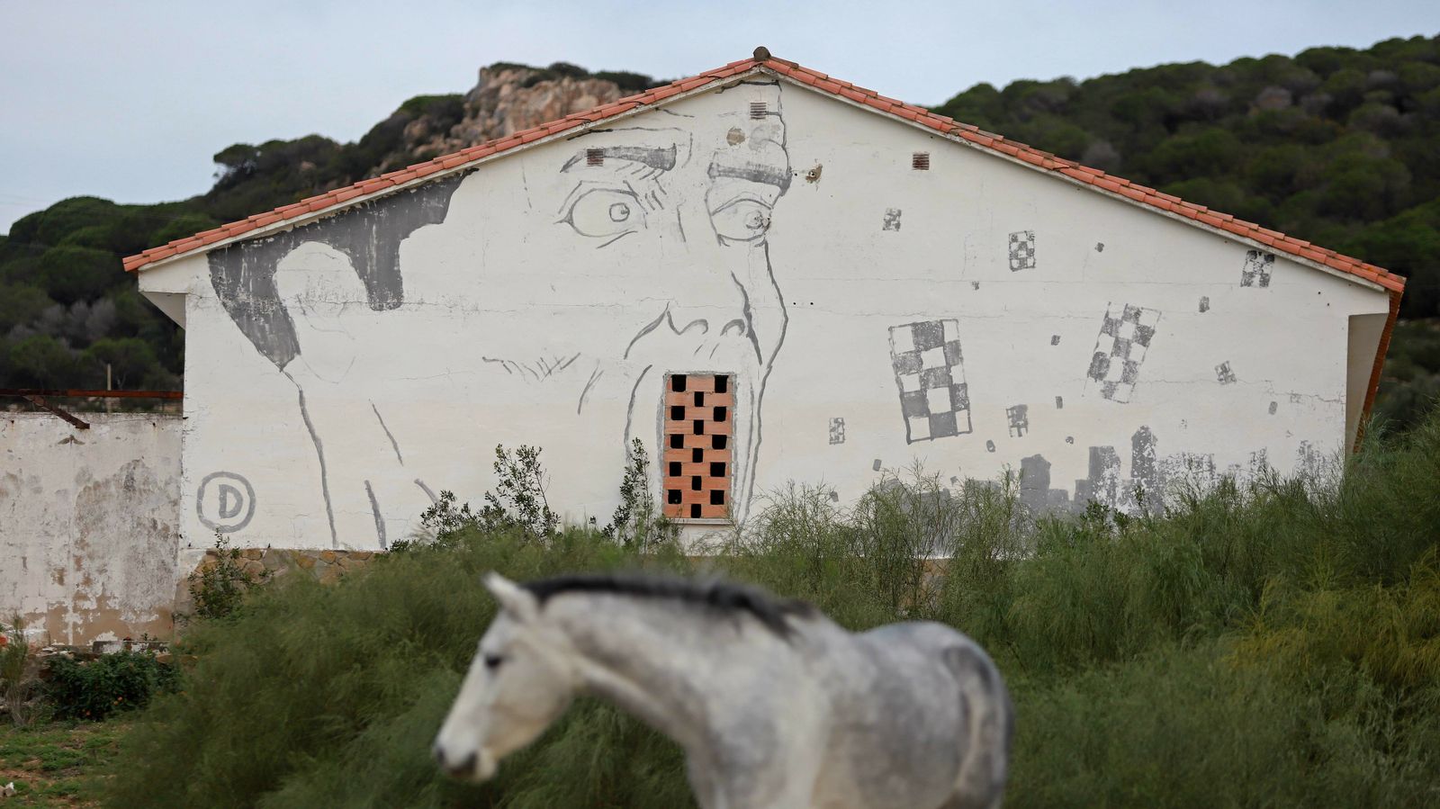 Las mejores fotos de Paloma Baja