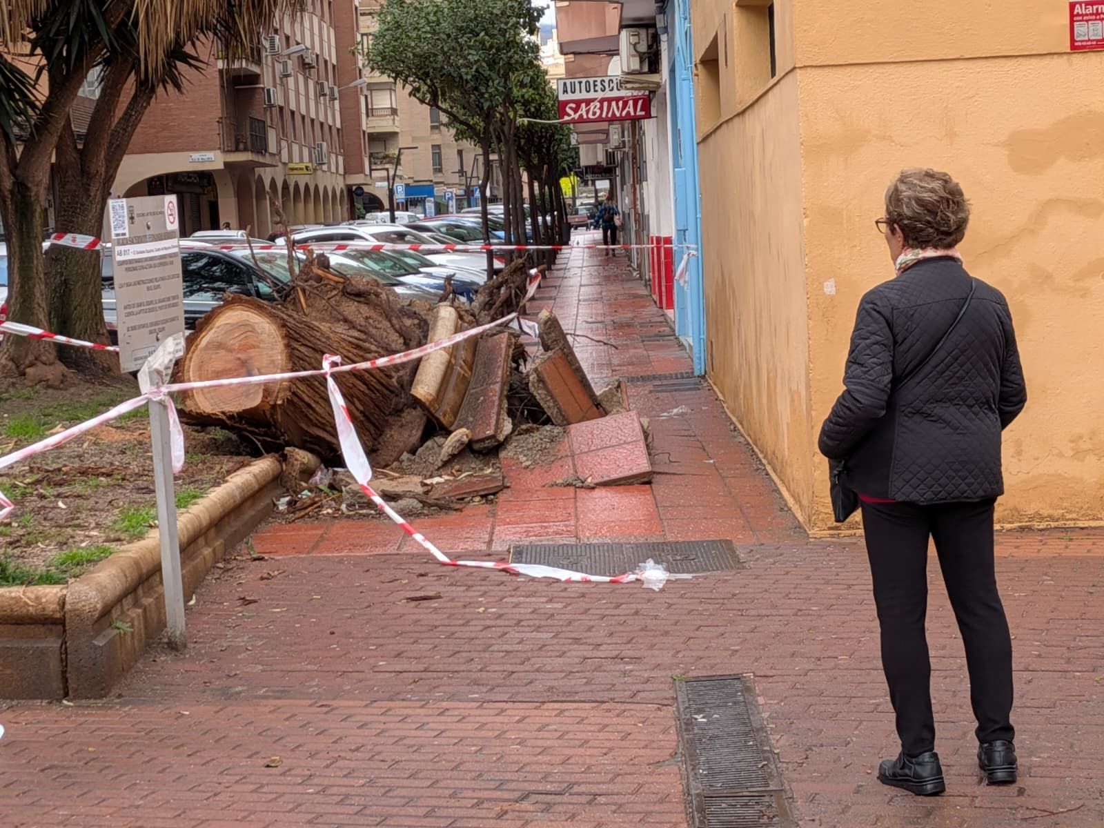 Las rachas de viento en Almería han provocado más desperfectos en el mobiliario urbano.