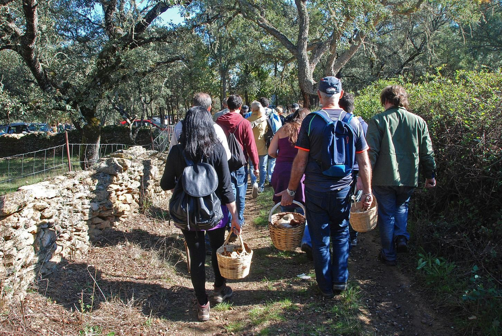 Un grupo de personas participa en una salida para recoger setas.