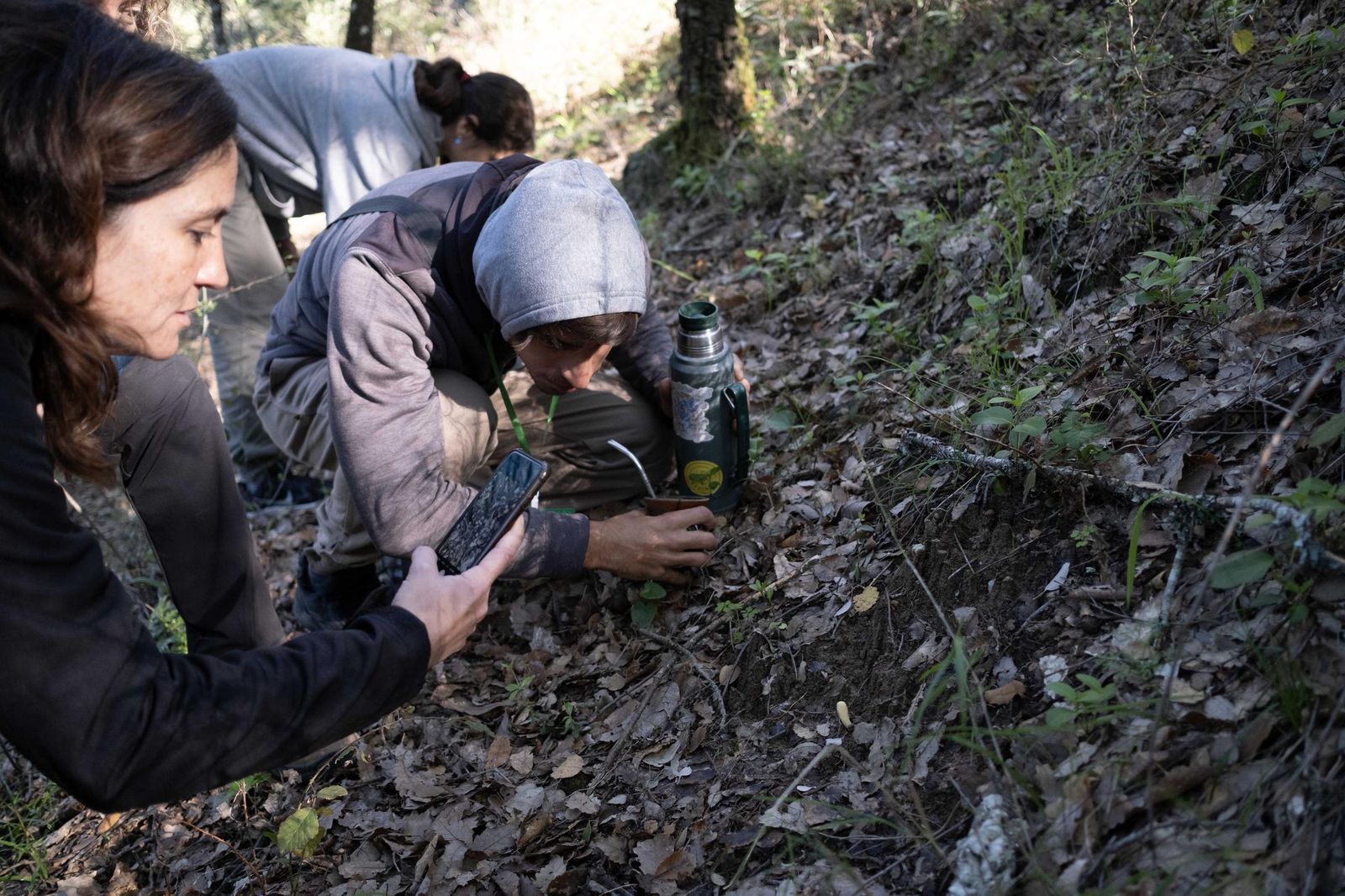Jornadas micológicas de Cortes de la Frontera, en fotos