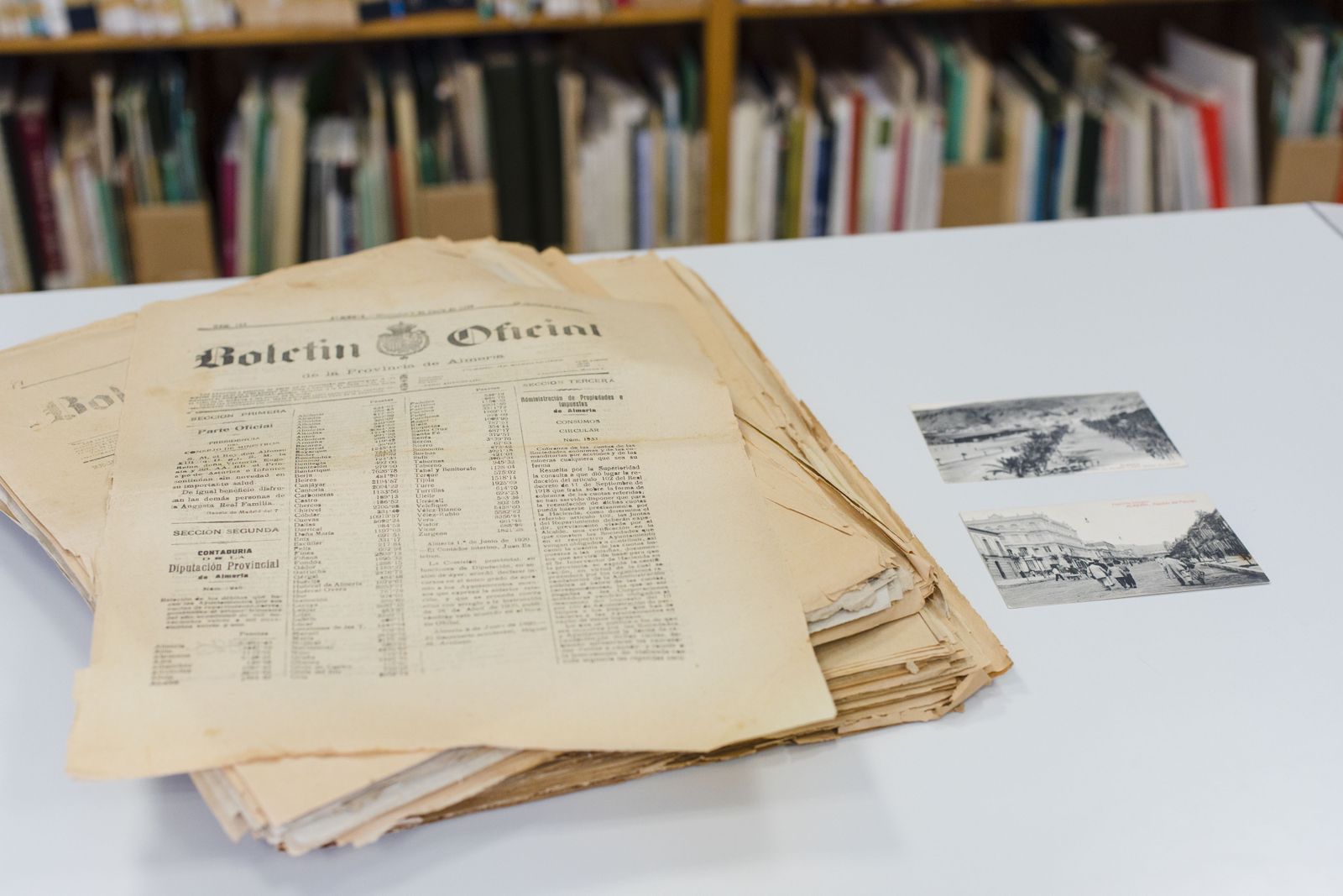 La Biblioteca-Hemeroteca y el Archivo de Diputación combinan la atención presencial y telemática