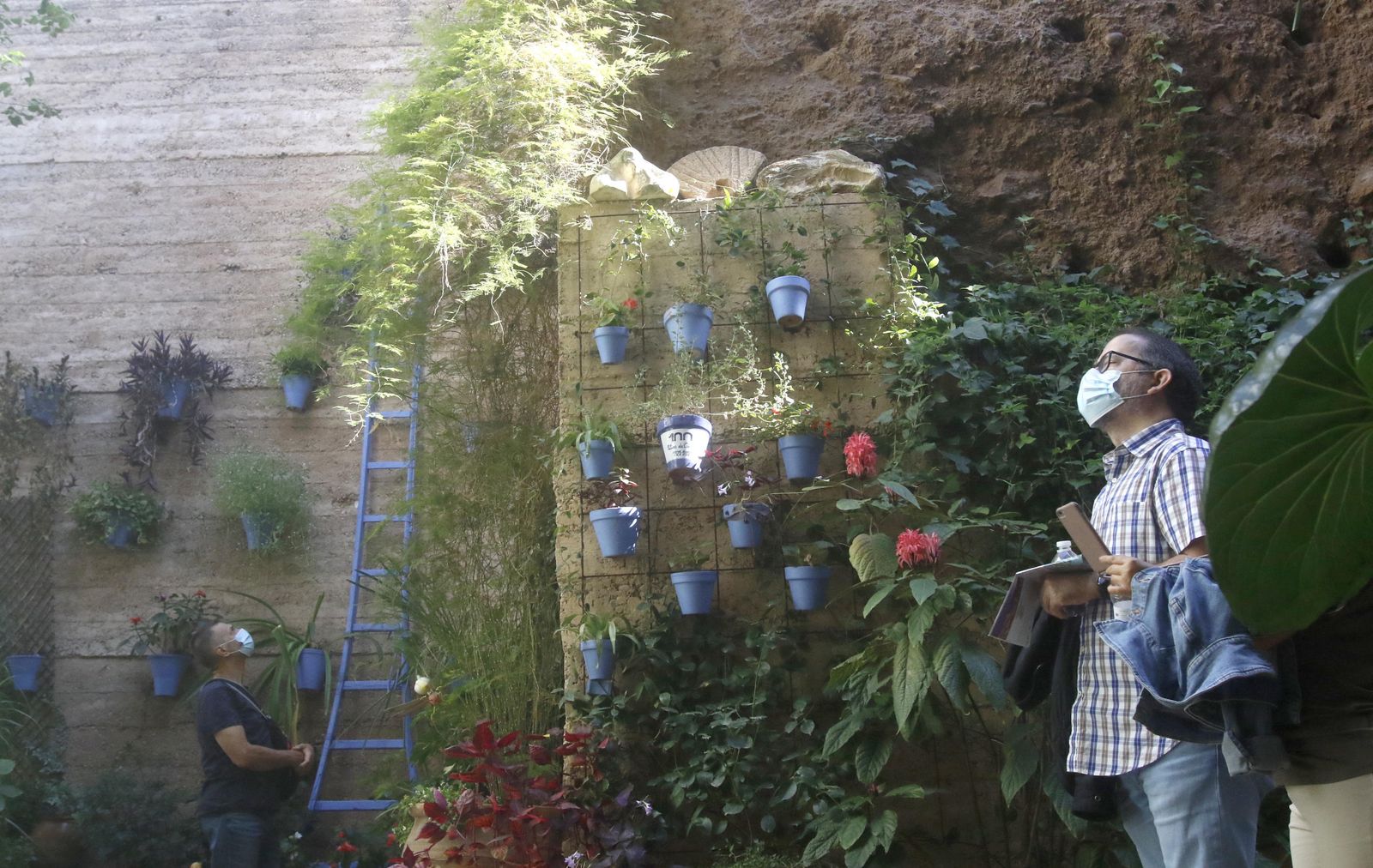 Los Patios en otoño, en fotografías