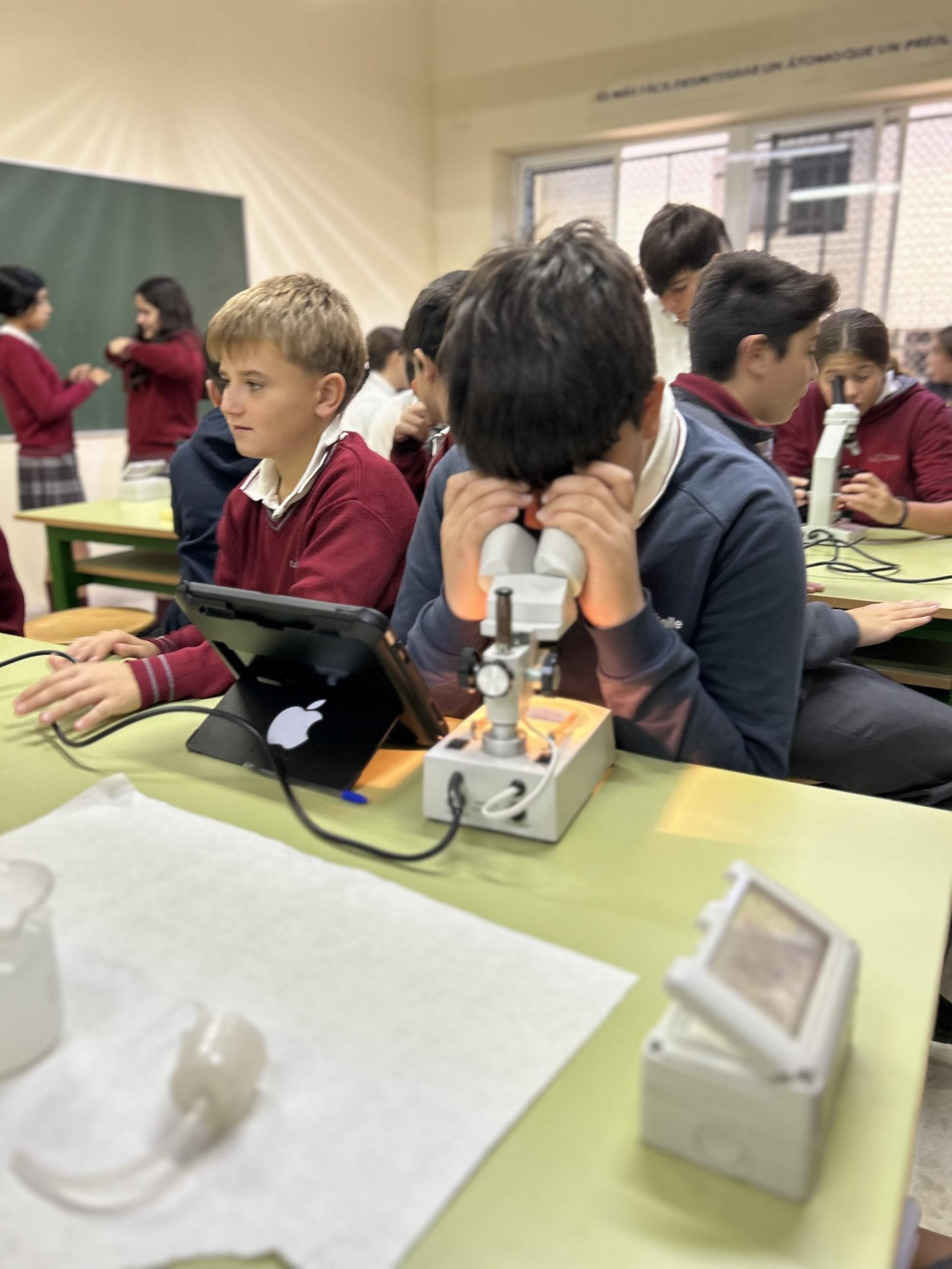 Un camino educativo con sentido:crecer, aprender y transformar la sociedad.