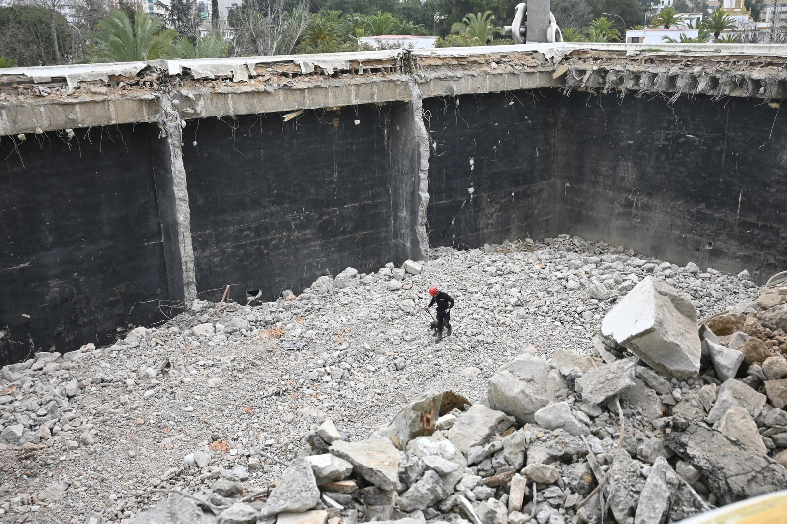 Práctica de la Unidad Canina y el Equipo de Intervención de Bomberos Unidos Sin Fronteras, en imágenes