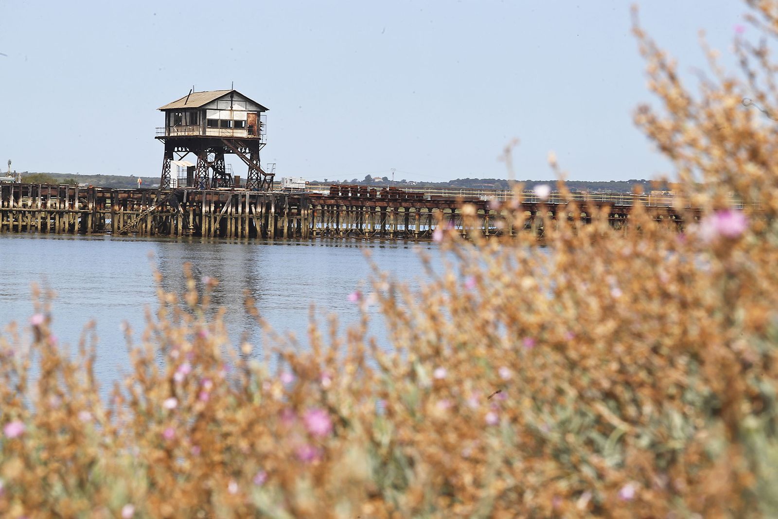 Imágenes del jueves 6 de julio, en Huelva