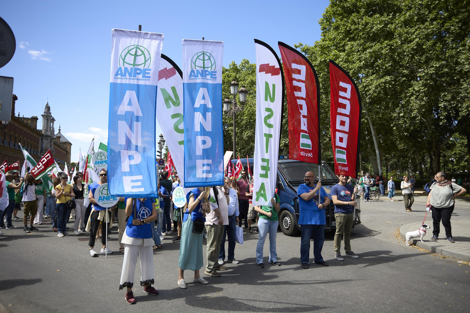 Las imágenes de la manifestación de docentes
