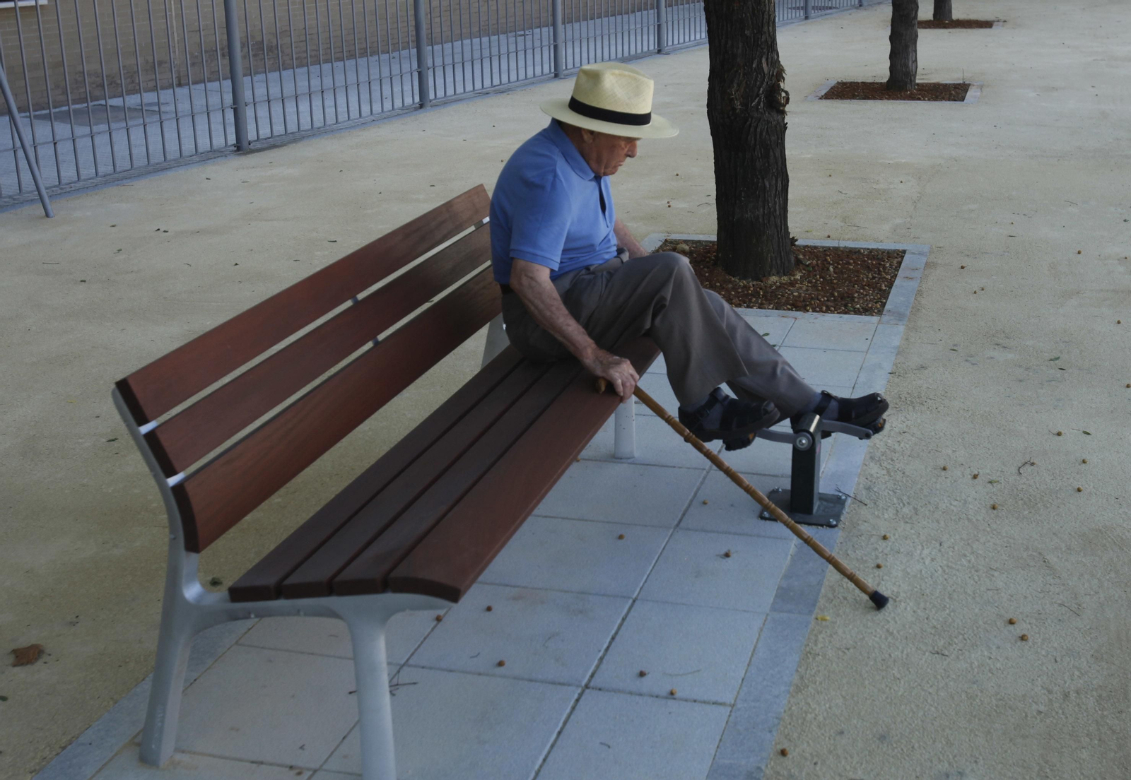 El nuevo jardín de Juan Antonio Cavestany, en imágenes