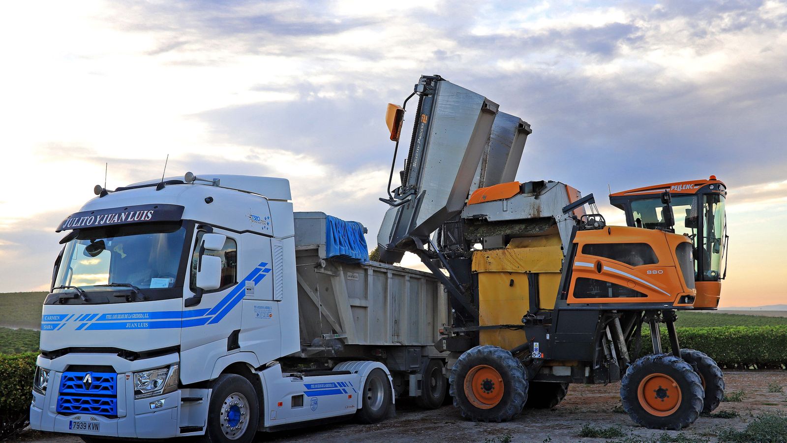 Comienza la vendimia nocturna en la Viña Montegilillo de Lustau