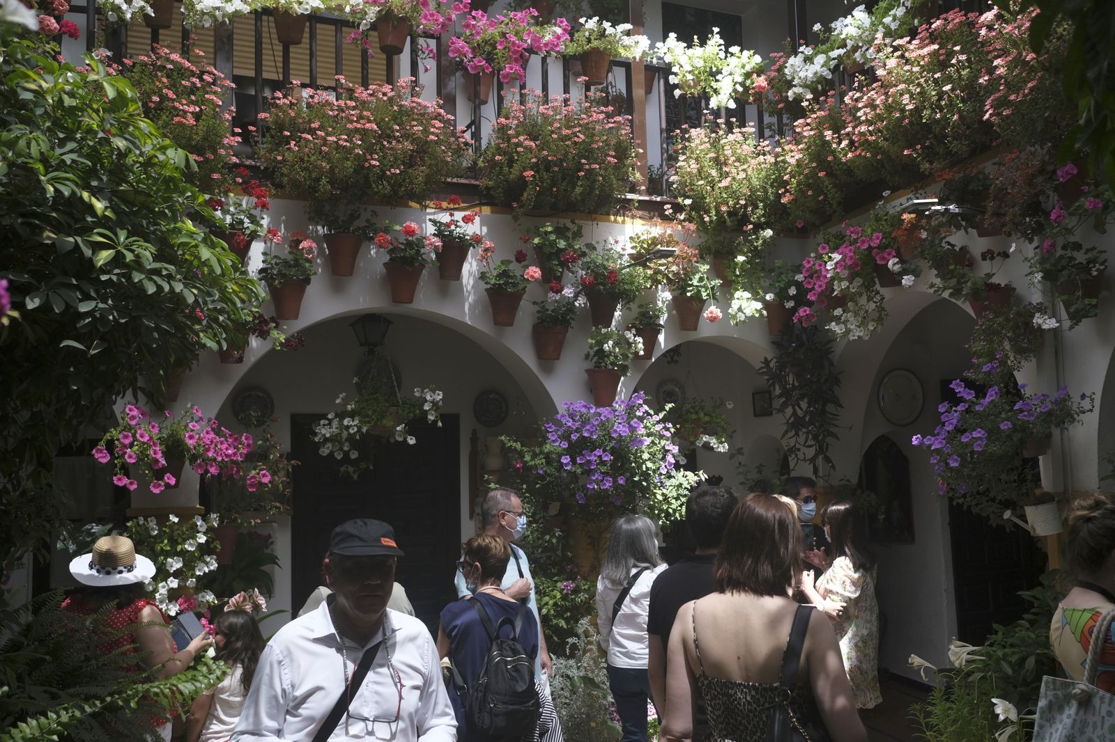 El último día del Festival de los Patios de Córdoba 2022, en imágenes