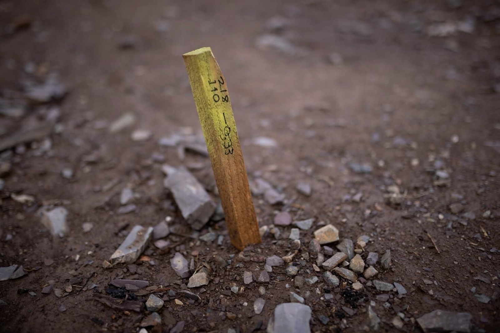 Imágenes del yacimiento del yacimiento de las Capellanías en Cañaveral de León
