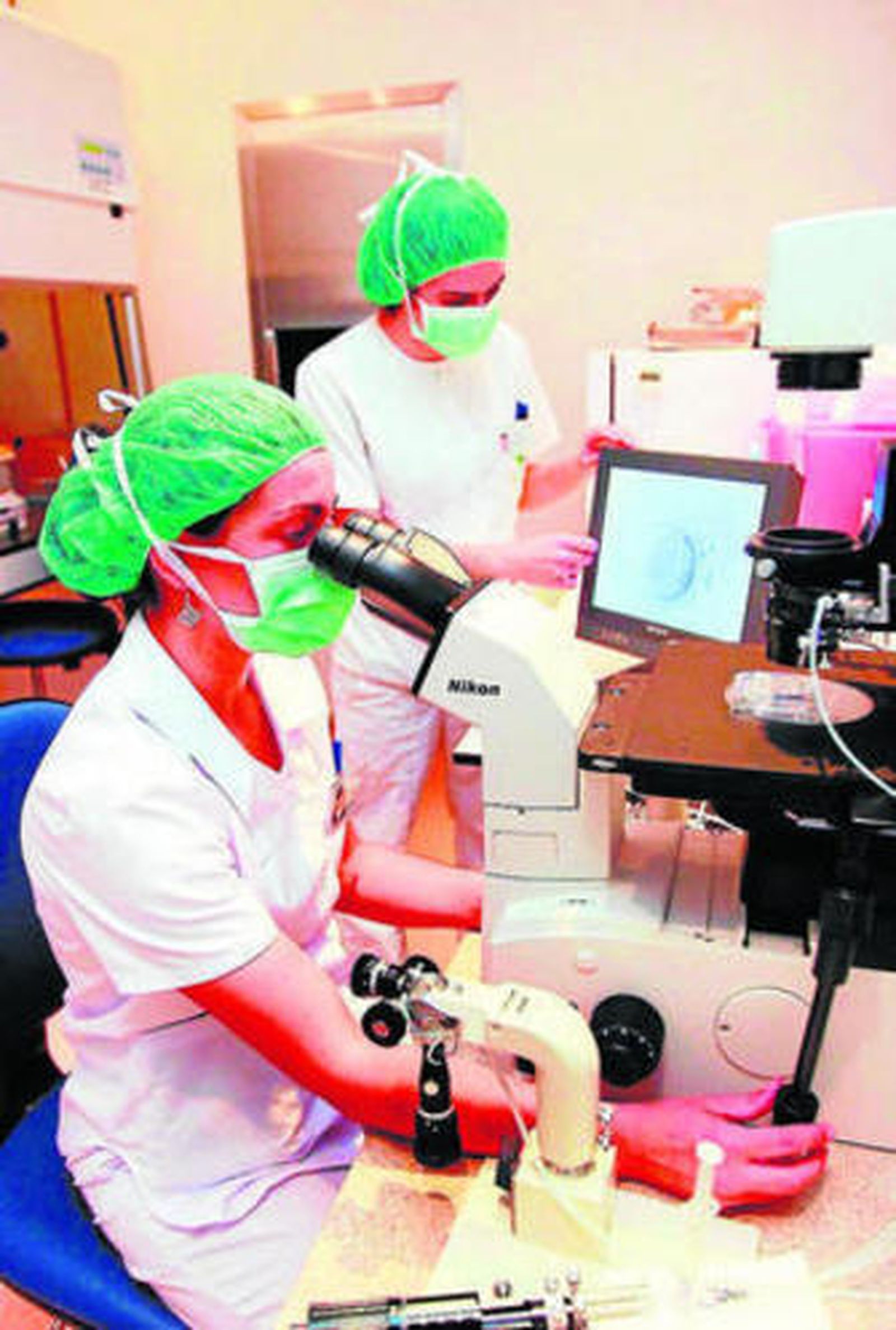 Los trabajos de investigación se realizaron con óvulos congelados.