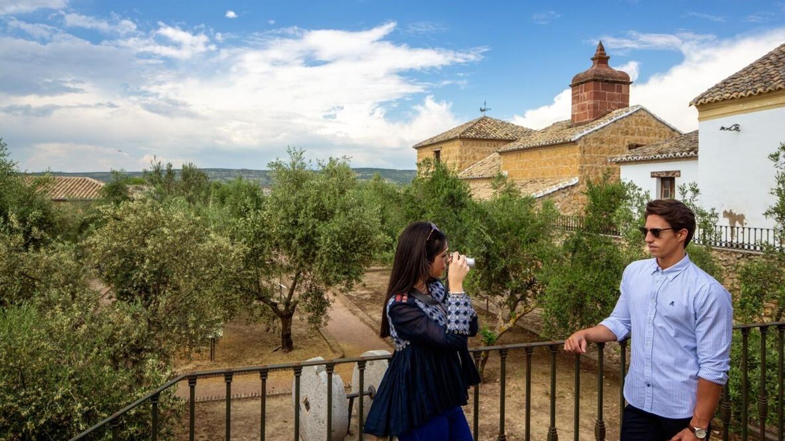 El jardín de olivos de este museo es uno de los puntos clave en tu visita.