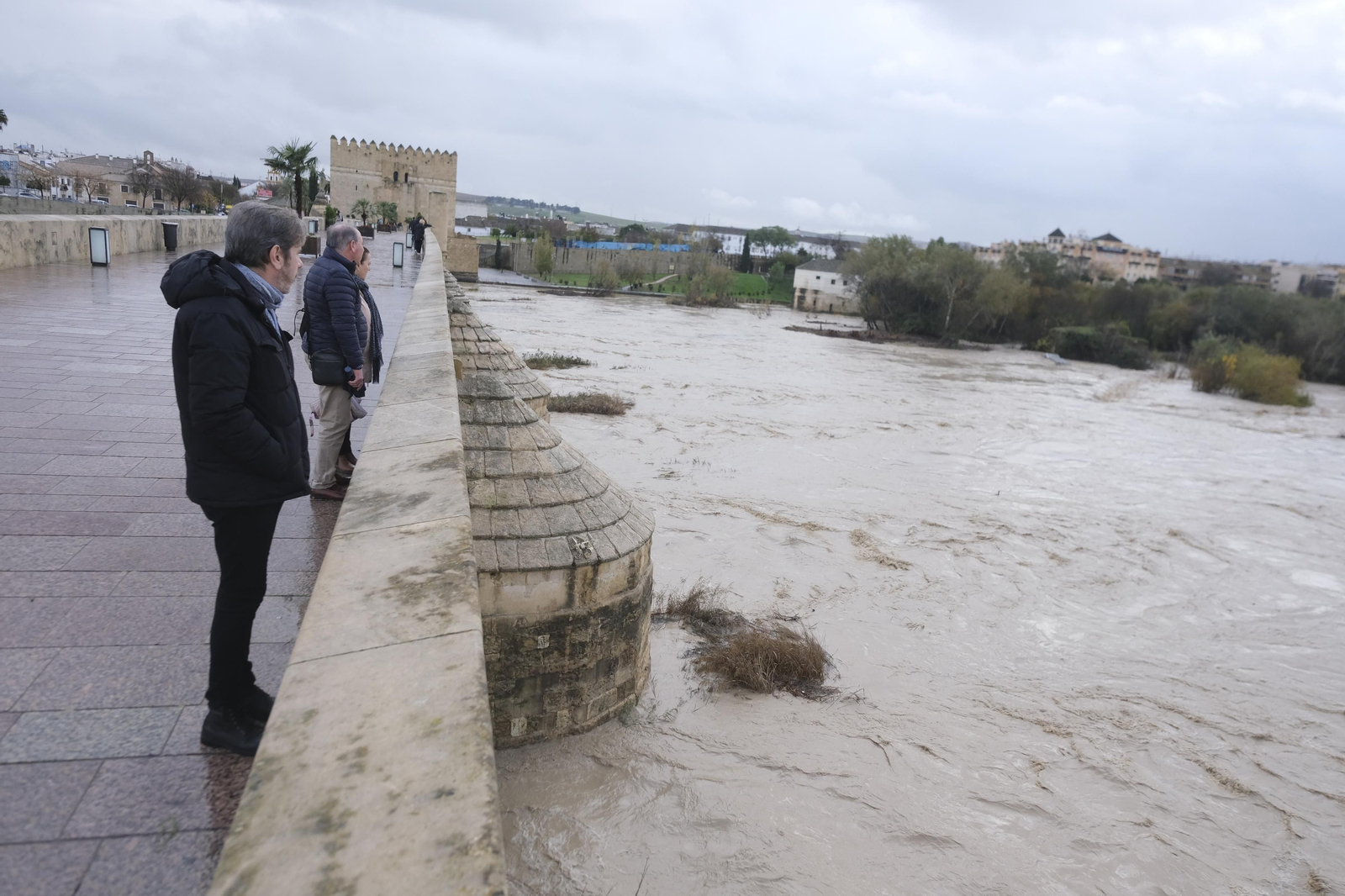 La crecida del río Guadalquivir tras las lluvias en Córdoba, en imágenes