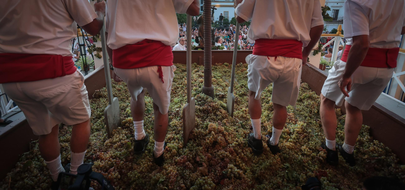Imágenes de la Pisa de la Uva en la Catedral de Jerez