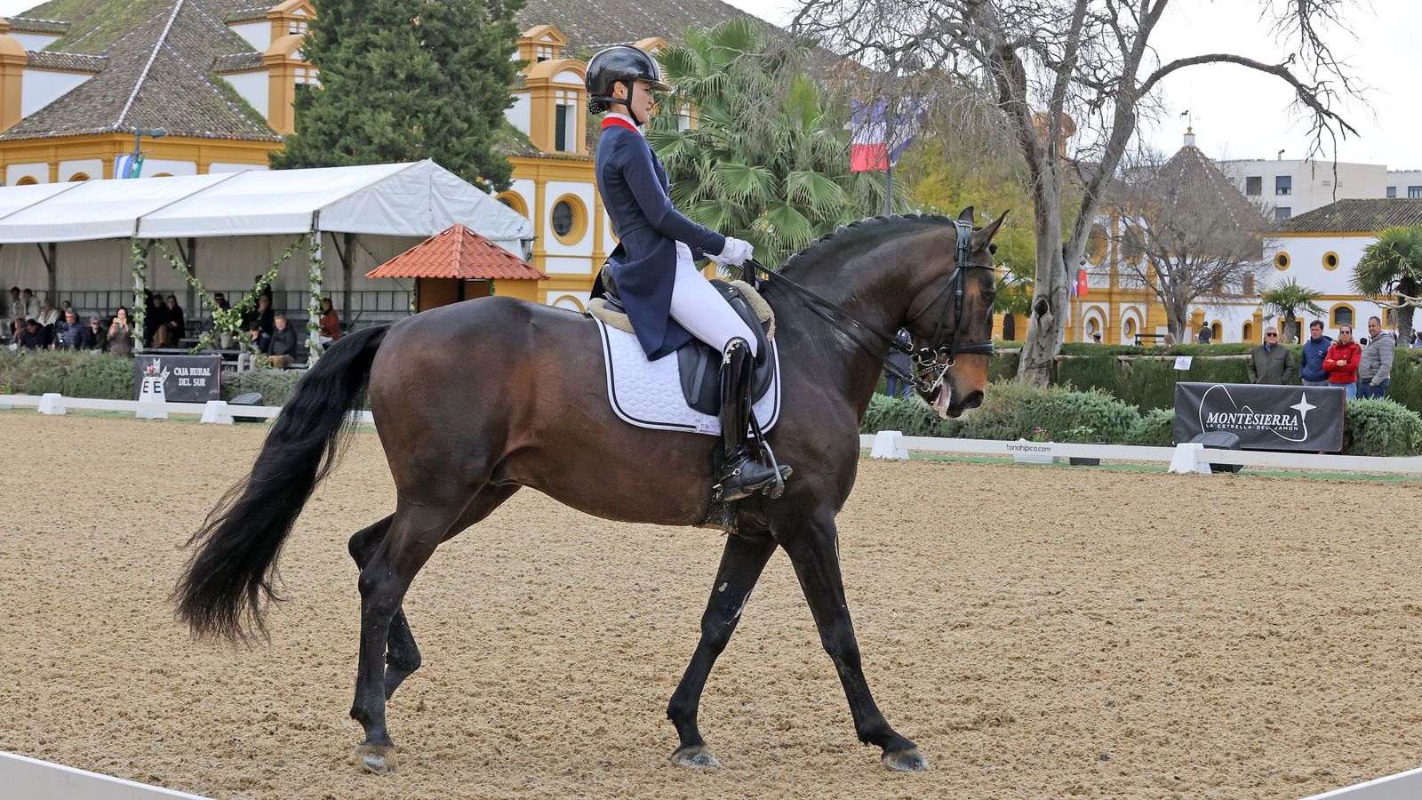 Concurso Internacional de Doma Clásica en La Real Escuela de Jerez